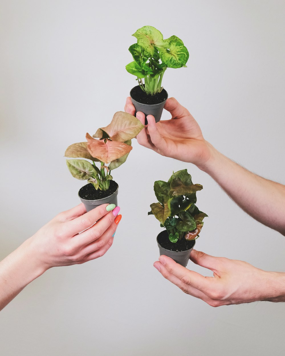 a group of people holding plants in their hands