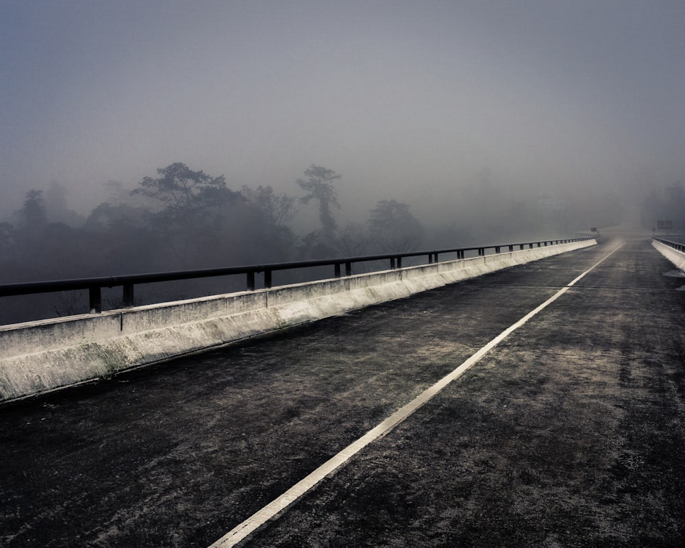 Una strada nebbiosa in una giornata nebbiosa con alberi sullo sfondo