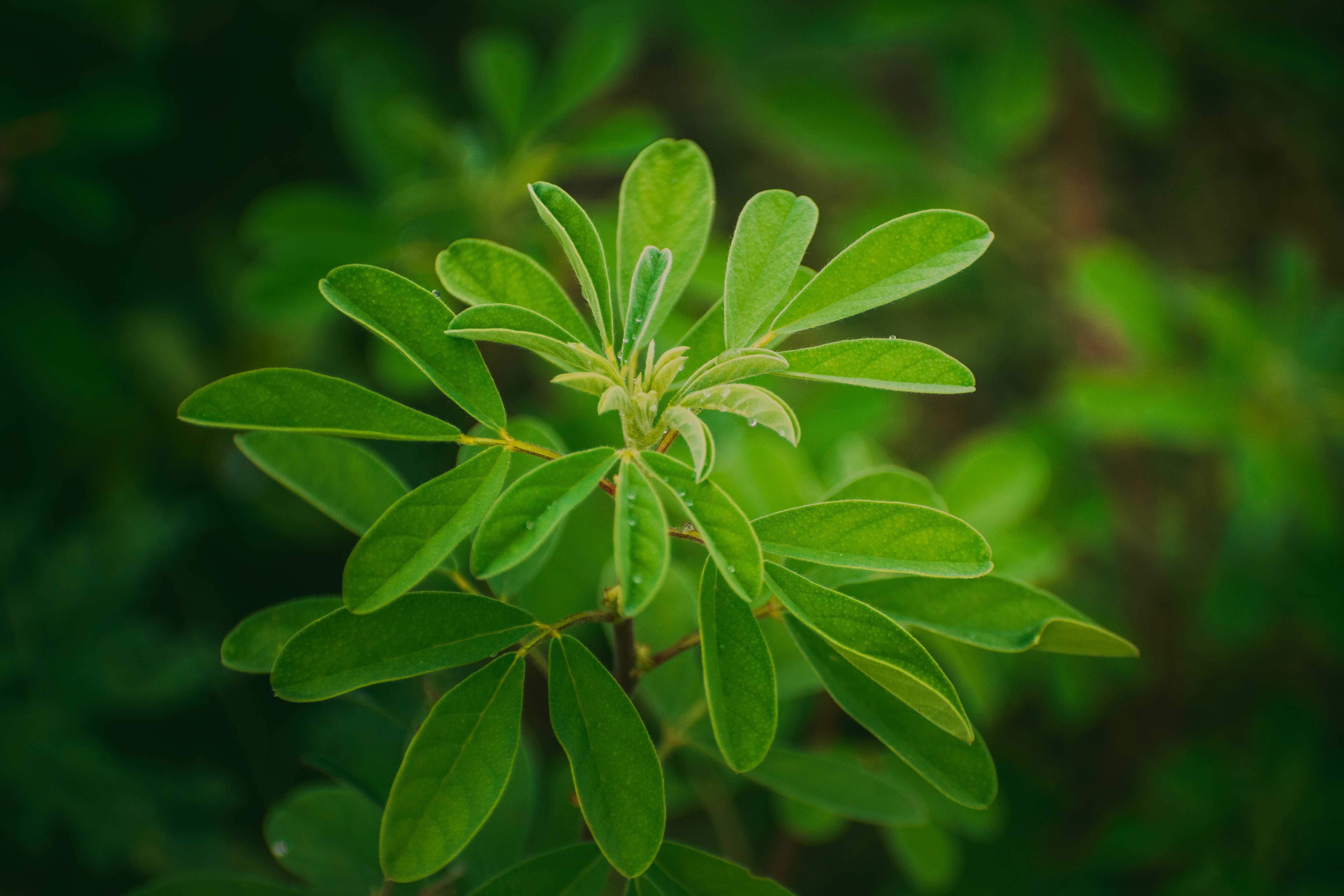 Photo by navi_photography