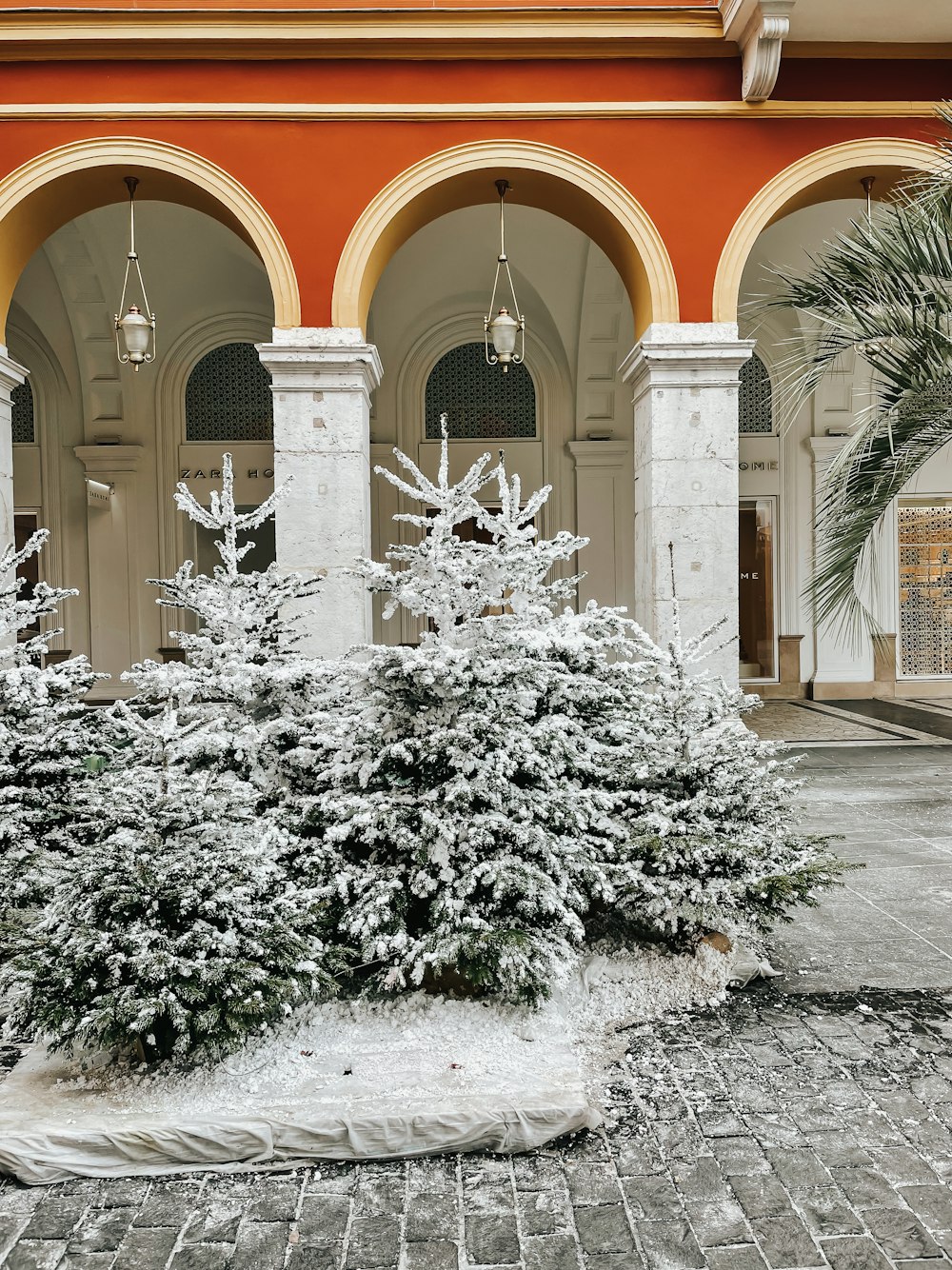 a snow covered planter in front of a building