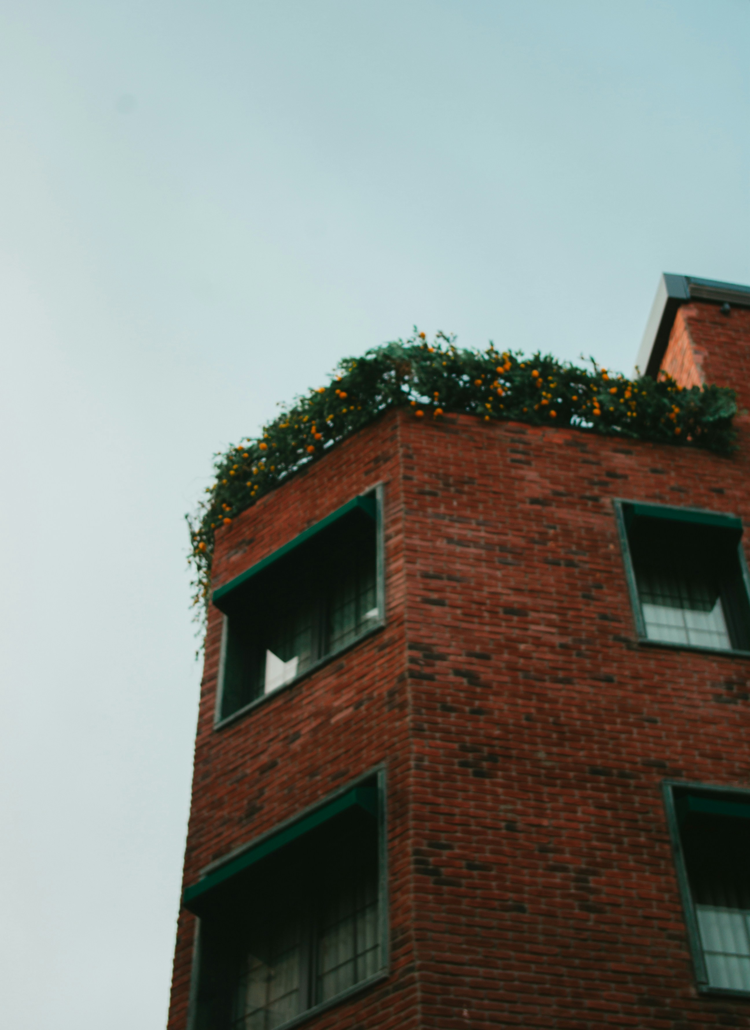 Photo by moonmoons_days