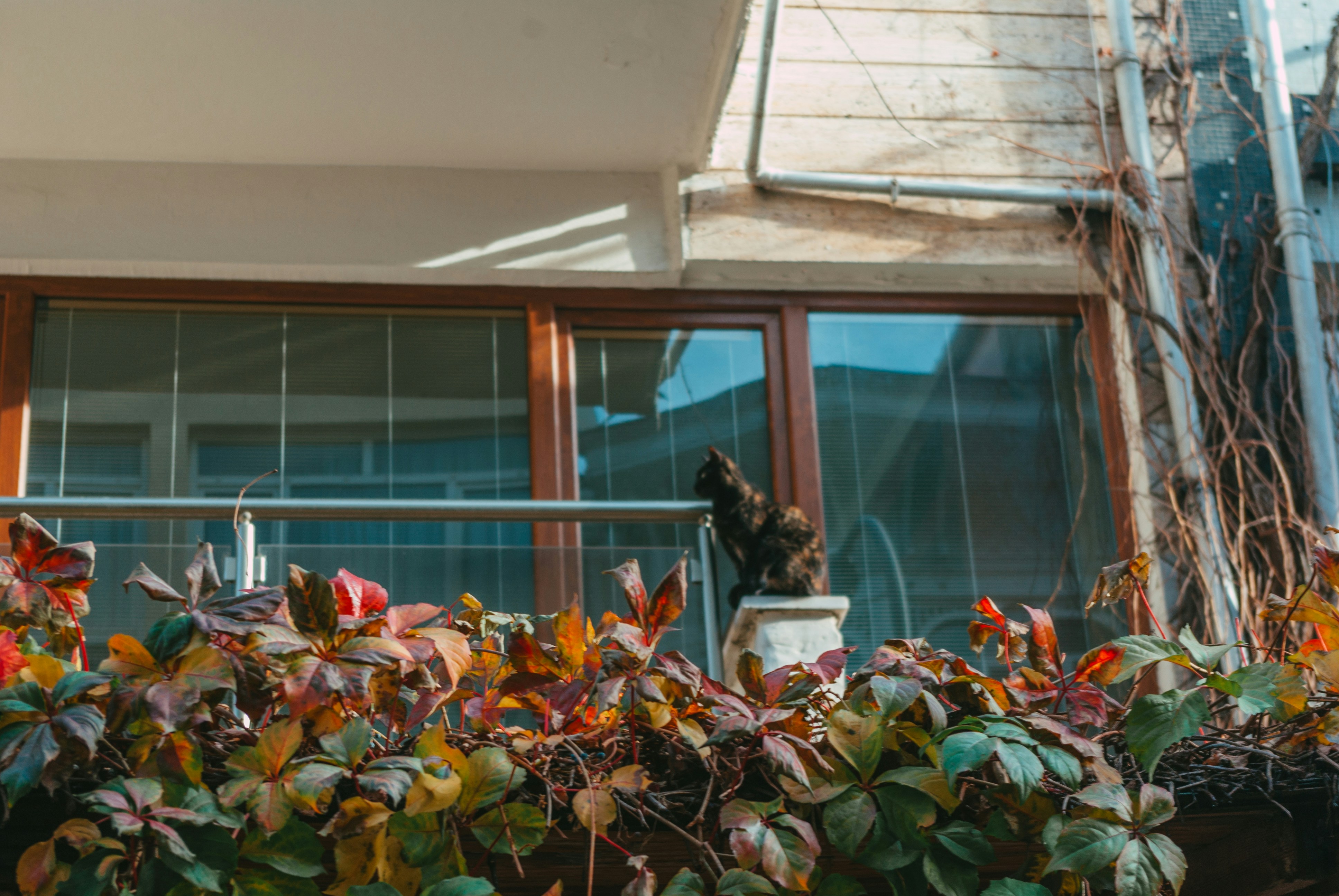 Photo by moonmoons_days