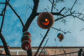 a tree with some lights hanging from it's branches