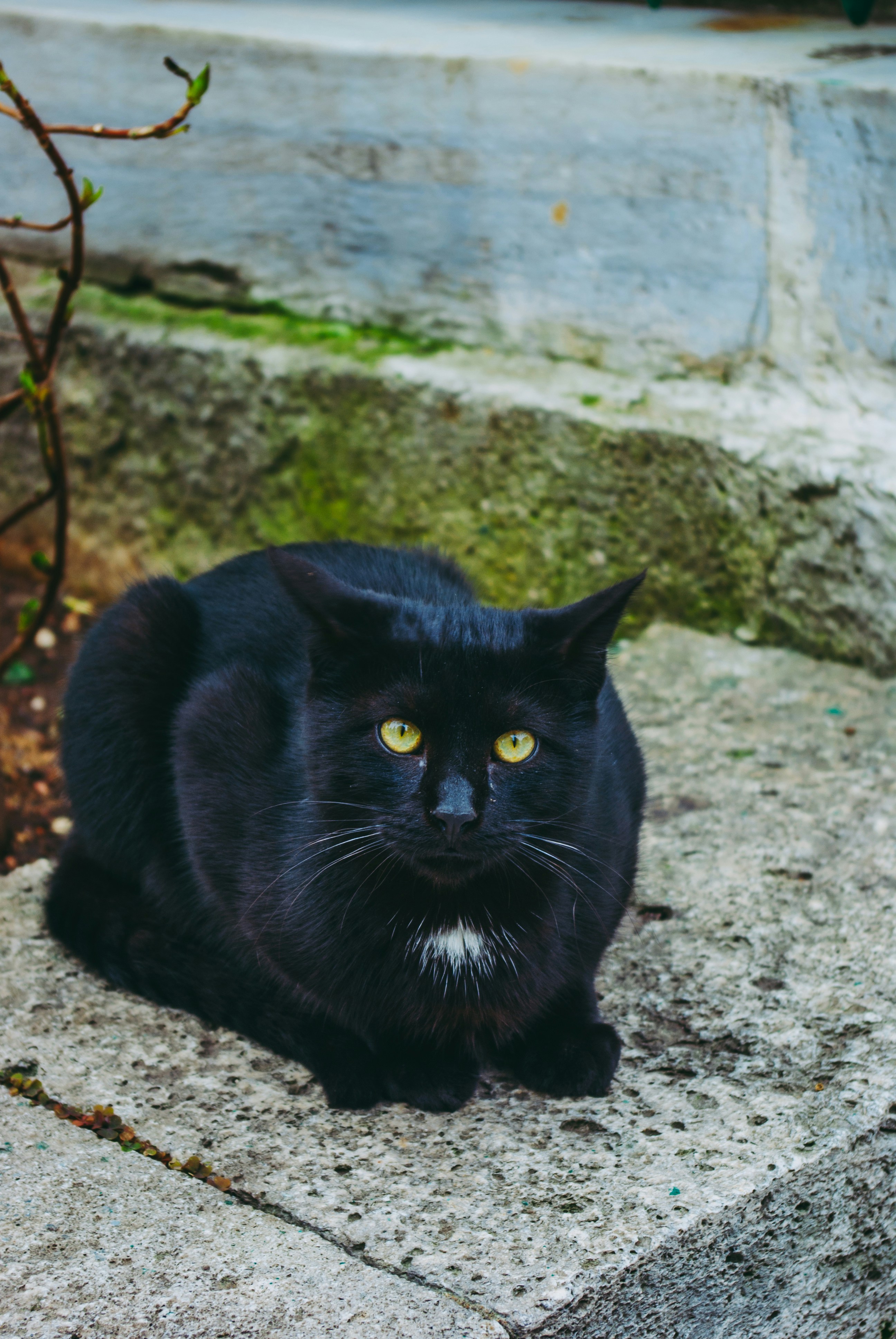 Photo by moonmoons_days