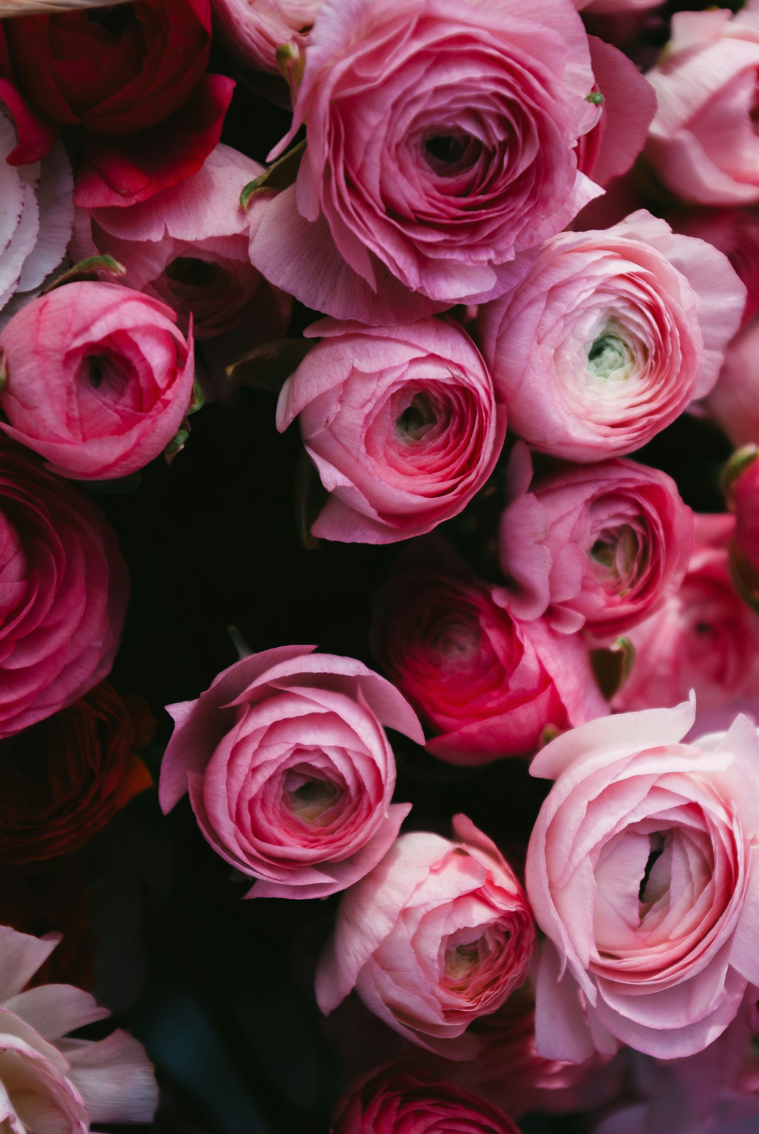 Photo by moonmoons_days