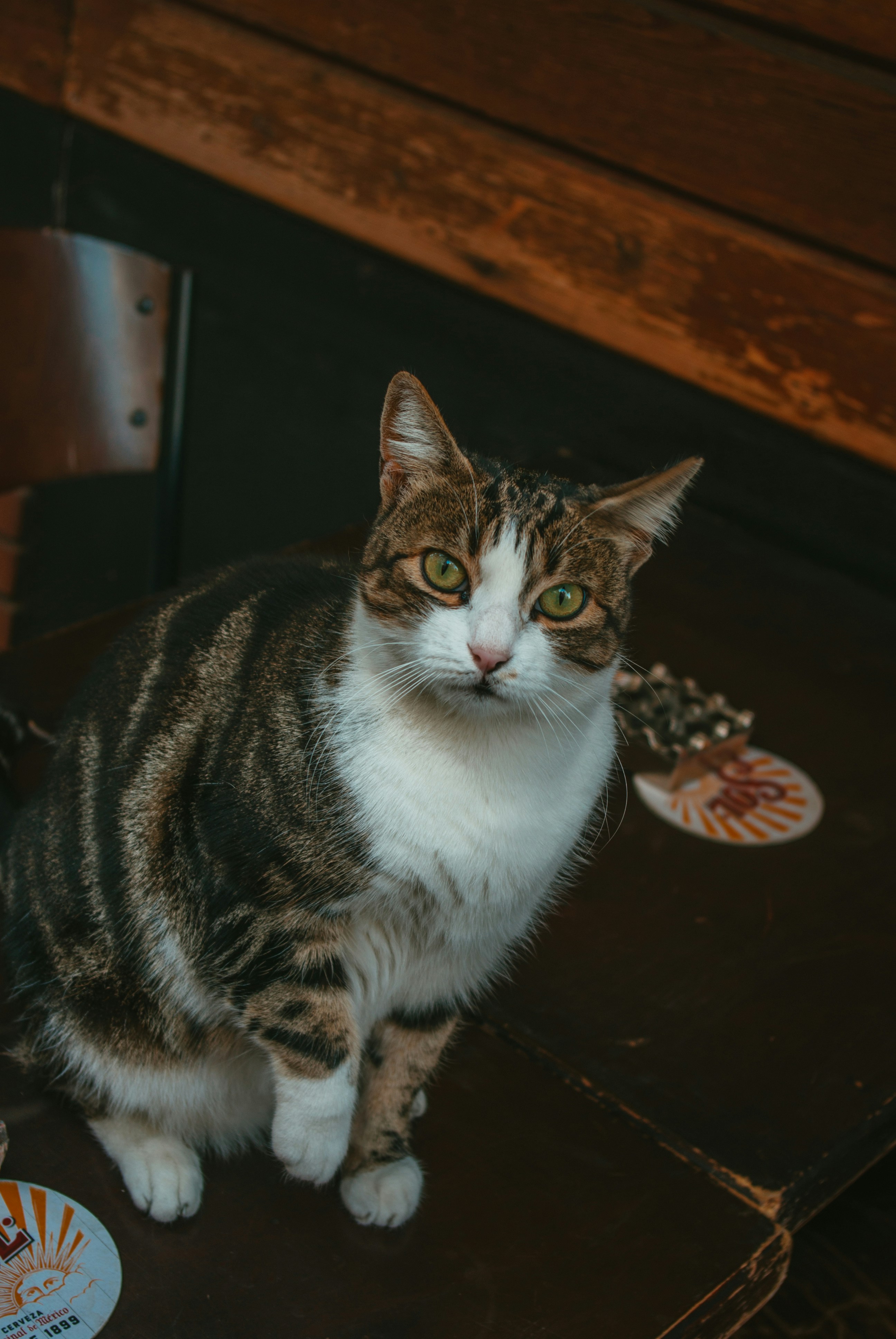 Photo by moonmoons_days