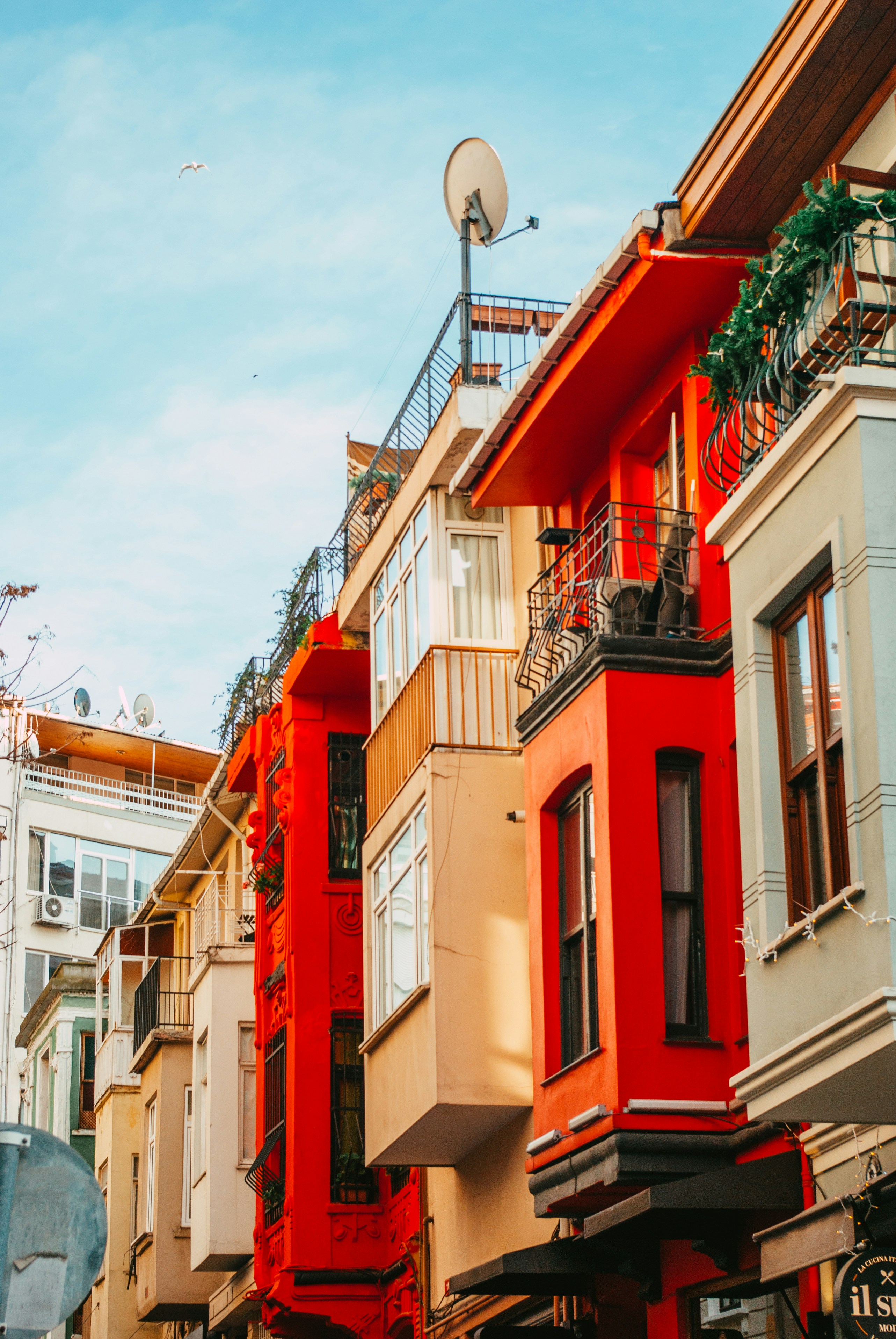 Photo by moonmoons_days