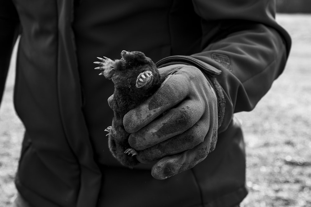 a black and white photo of a person holding a small animal