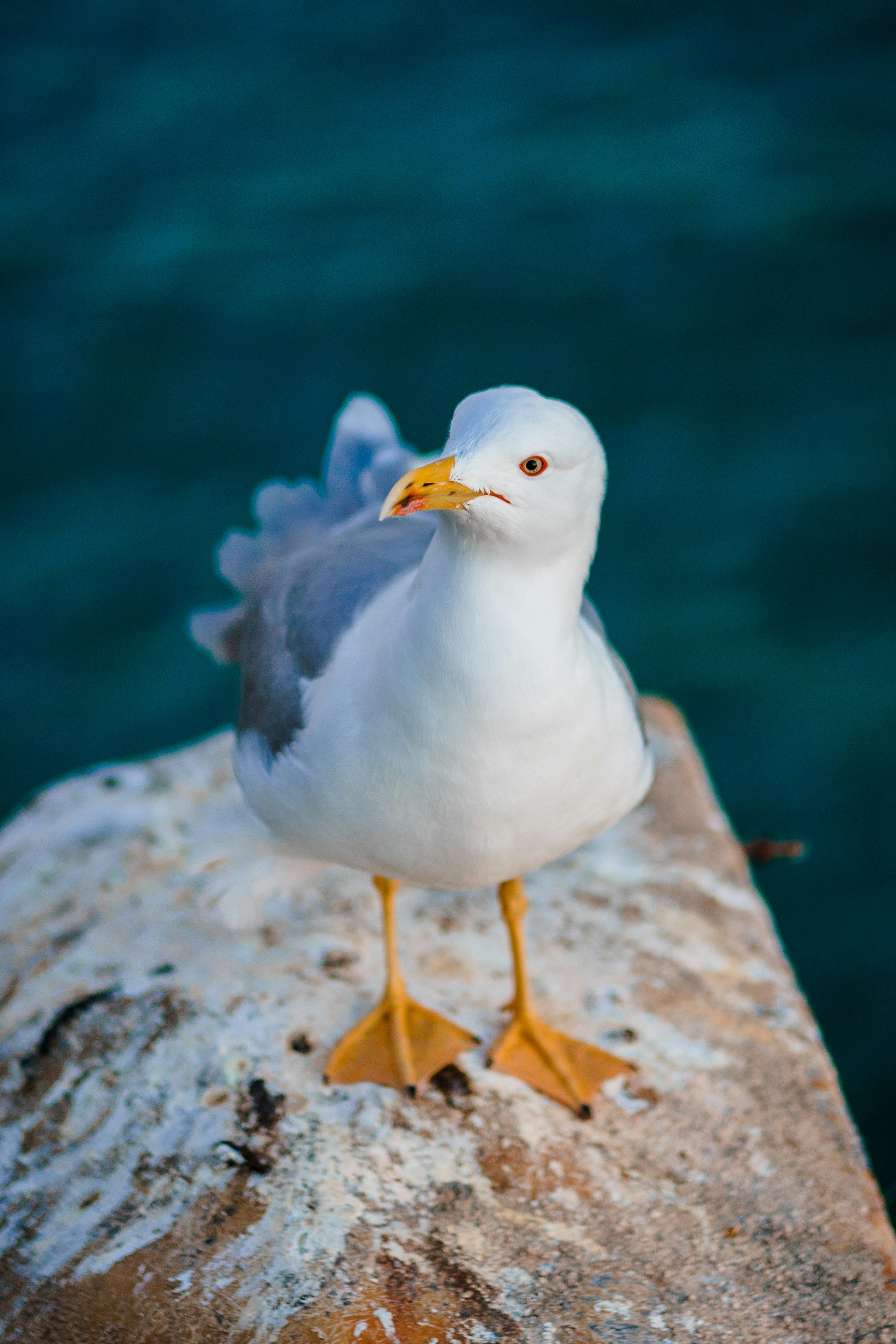 Photo by eugenechystiakov