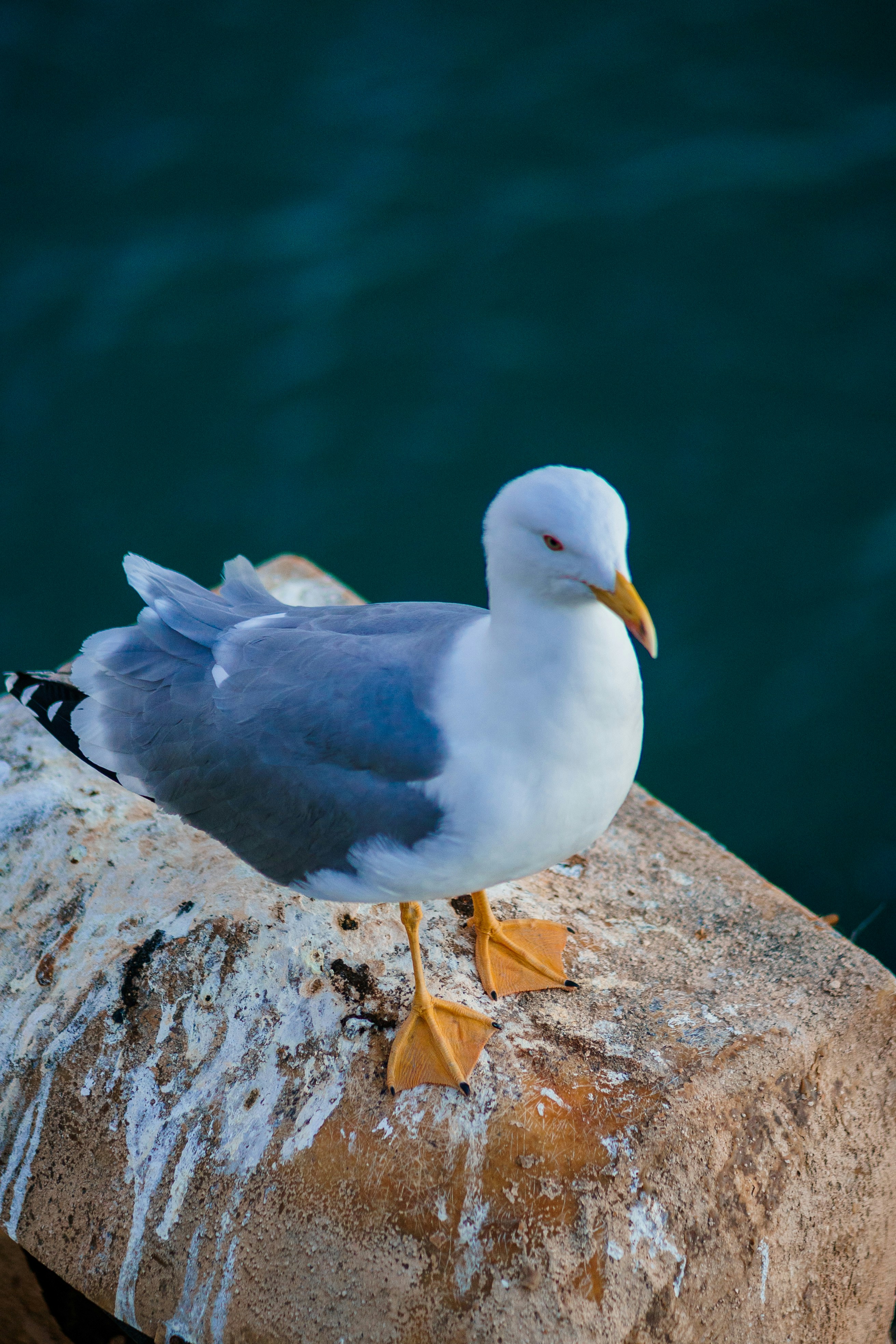 Photo by eugenechystiakov