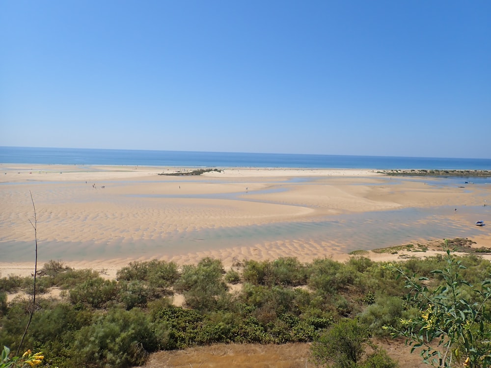 a sandy beach with a body of water in the distance