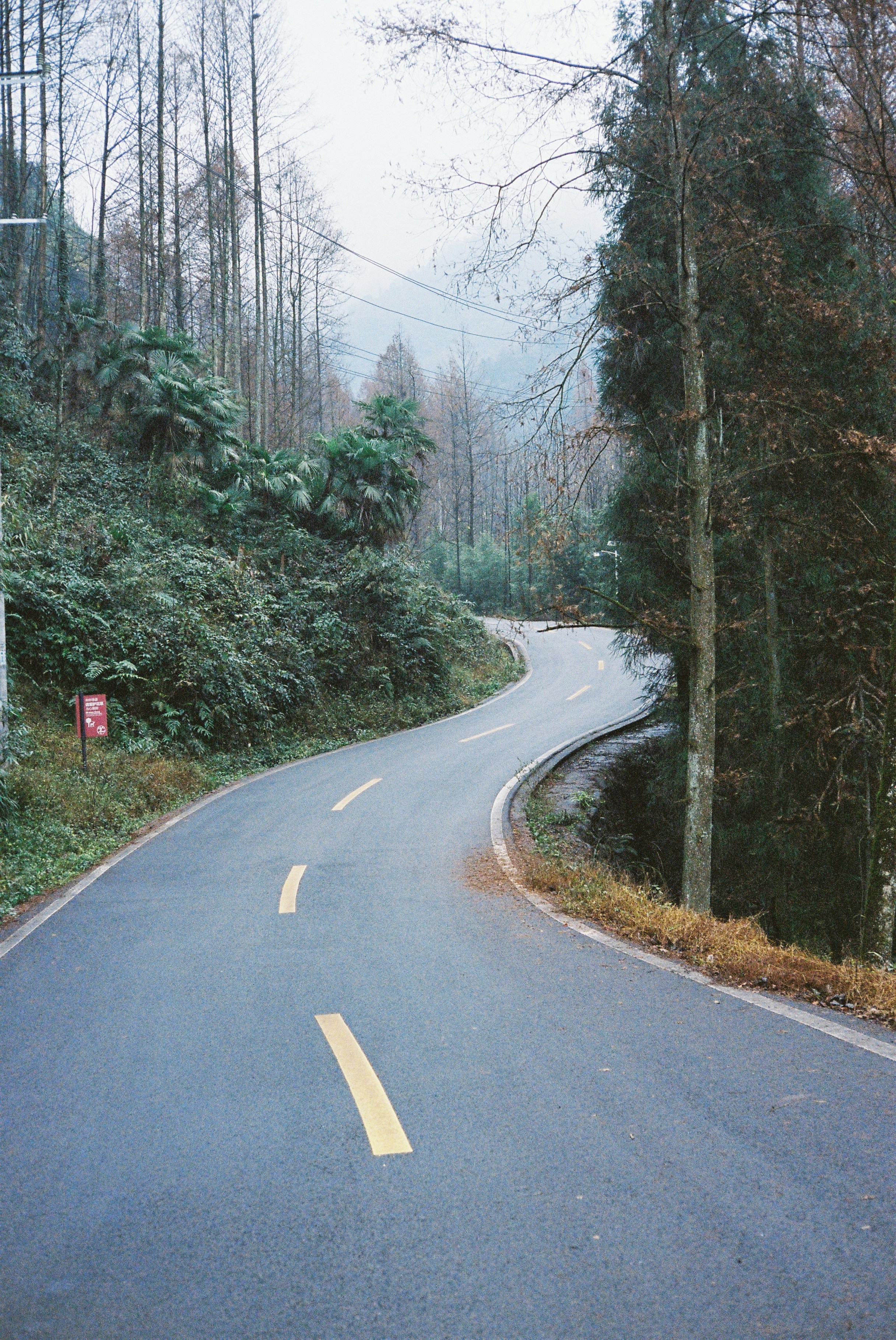 Chapter 14: The AI-Native Implementation Roadmap