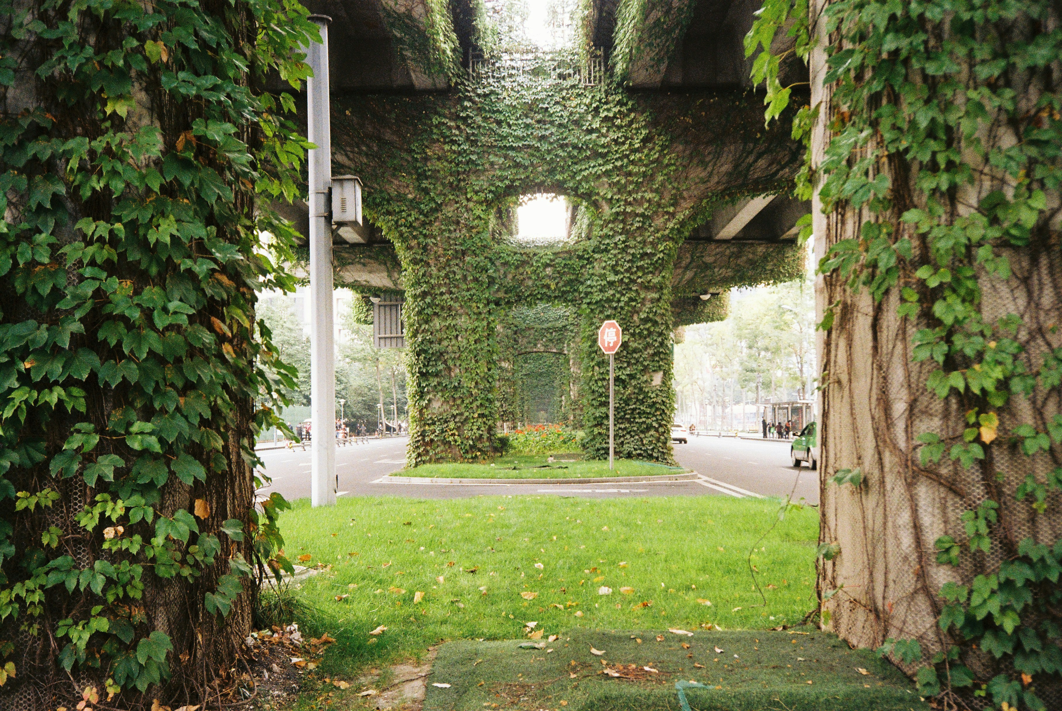 an archway covered in vines and ivy next to a street
