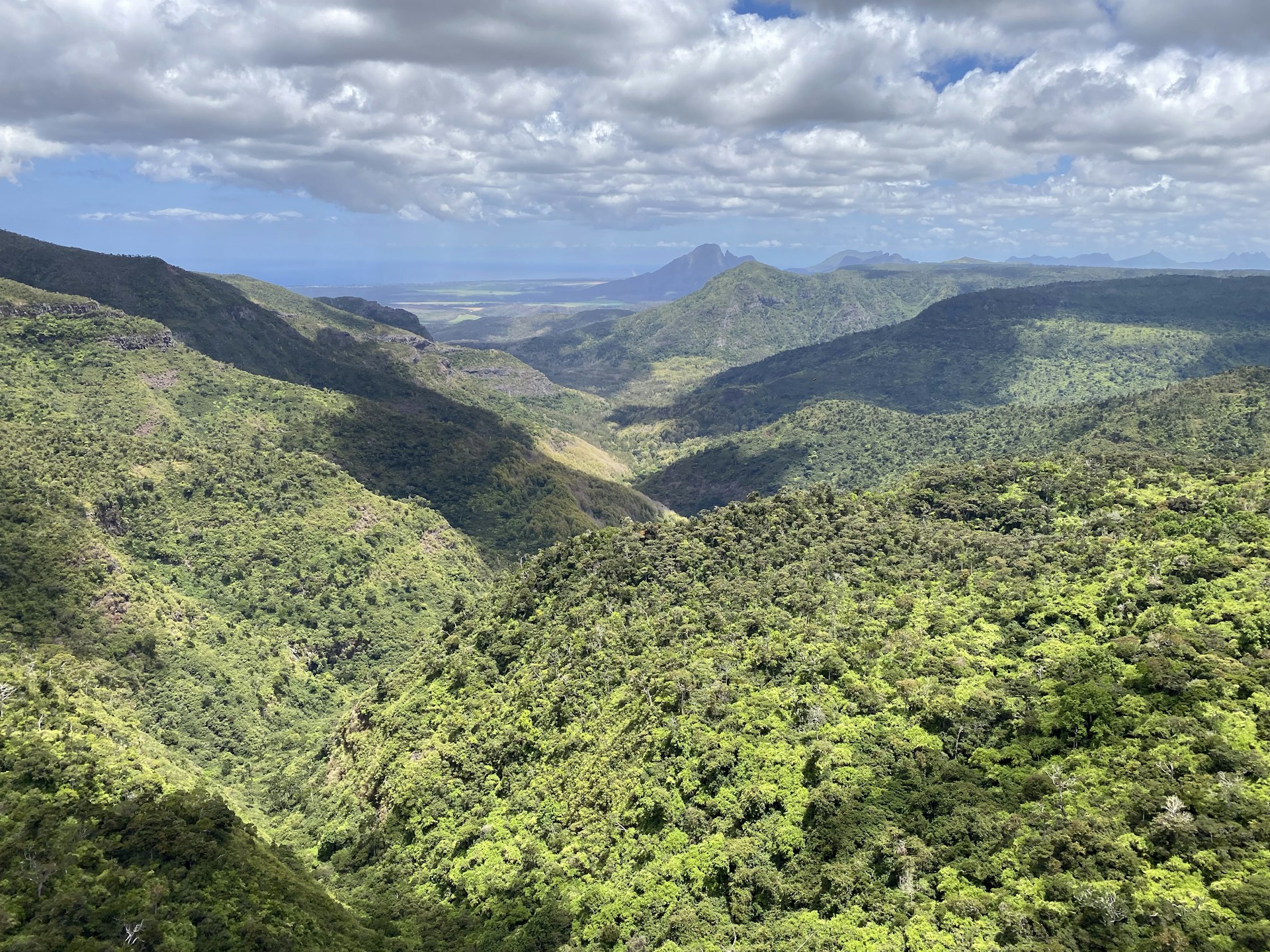 a view of a lush green valley with mountains in the background