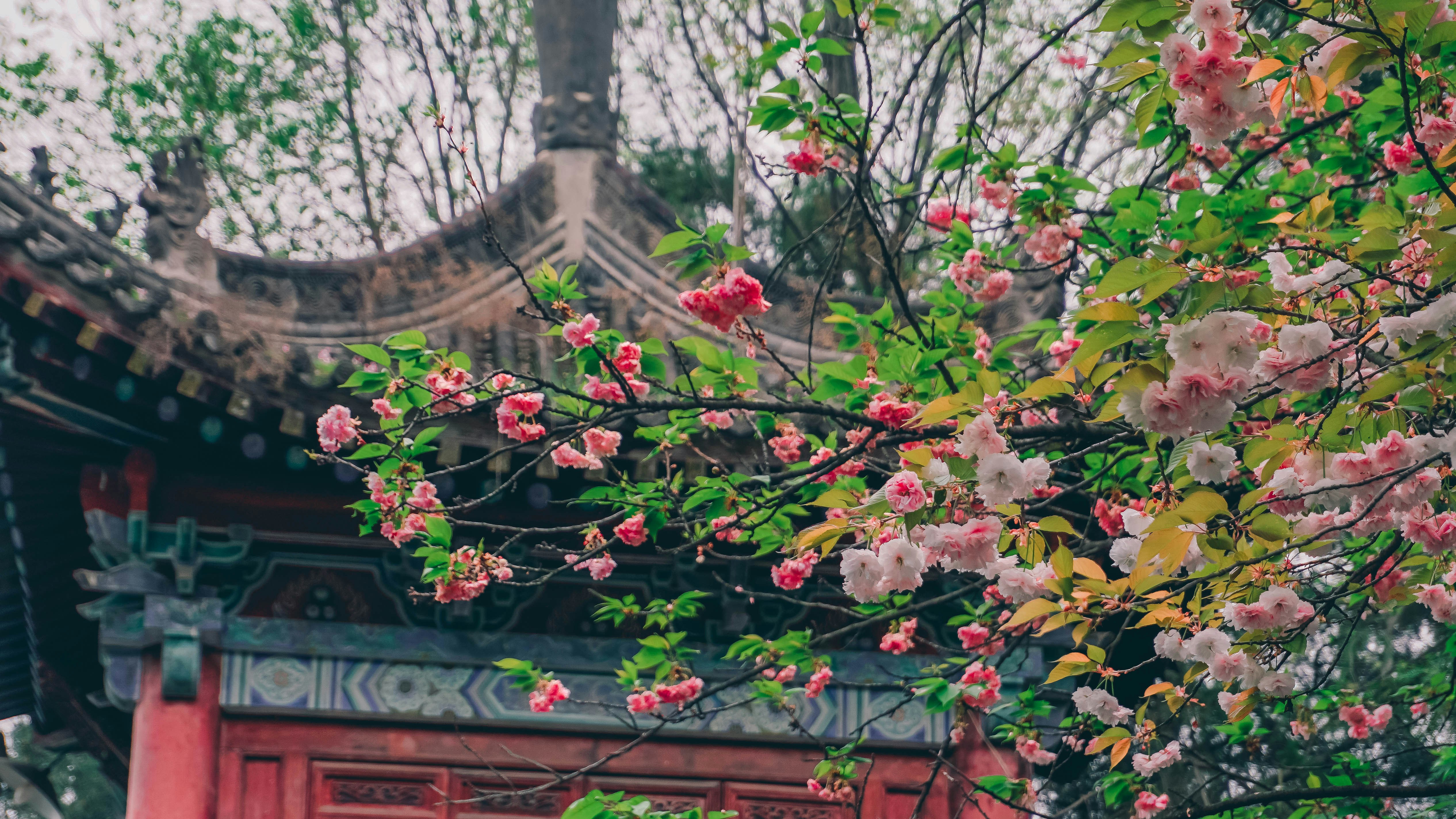 Photo by heroding