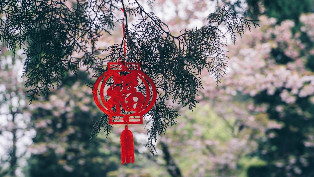 a red paper lantern hanging from a tree