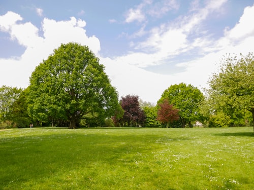 Farmhouse outdoor lawn