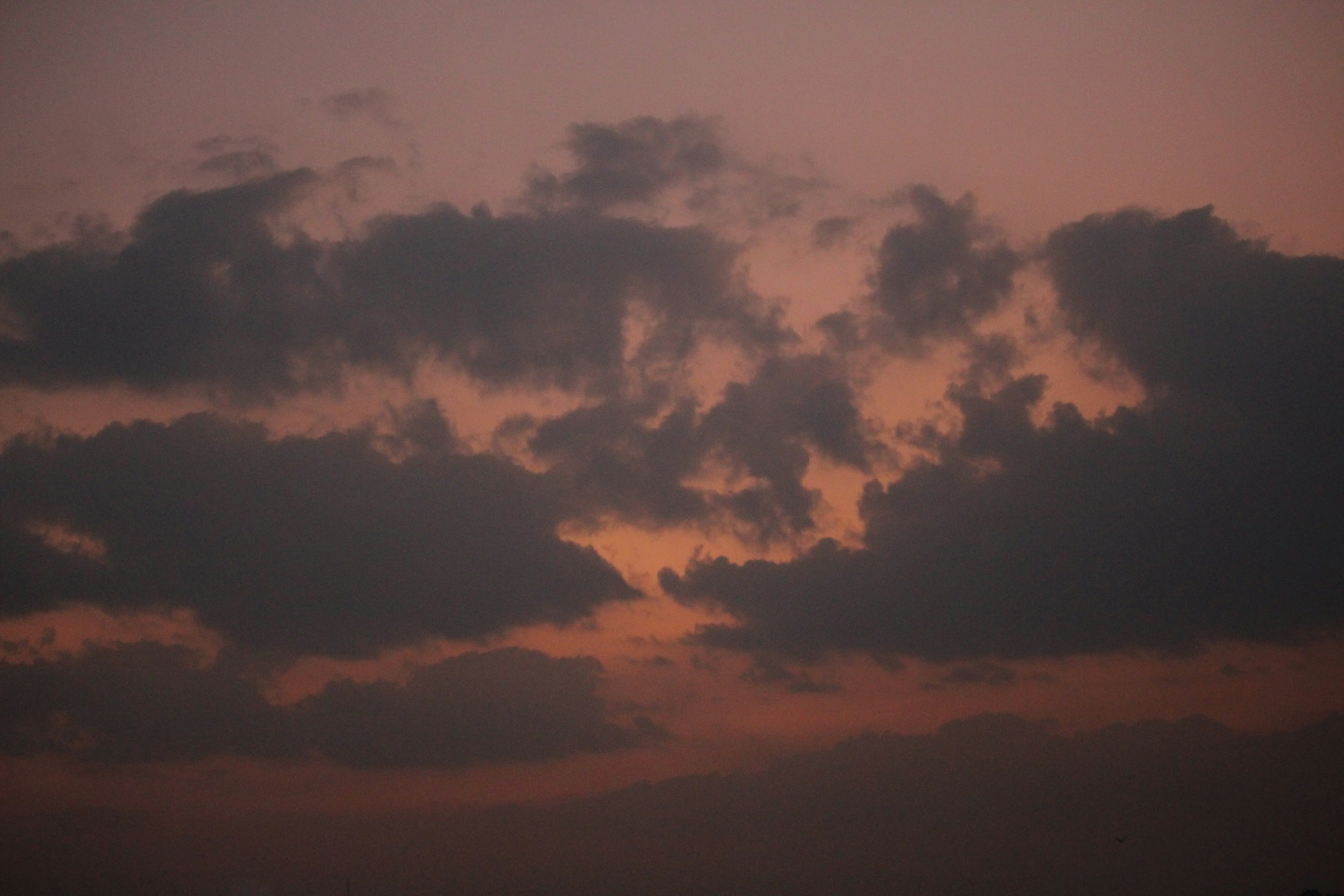 Photo by nayanbadolla