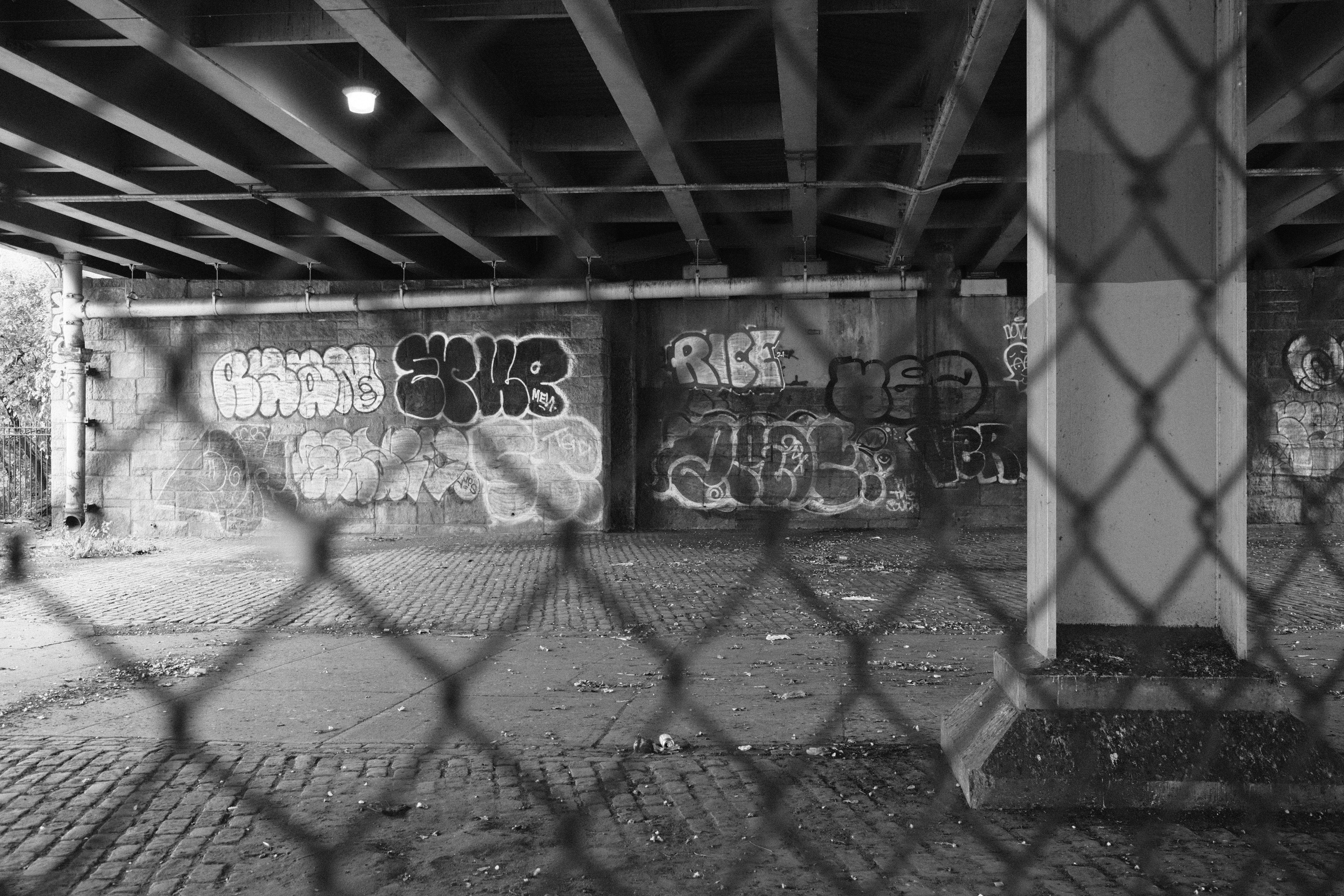 Photo by gregschmigel