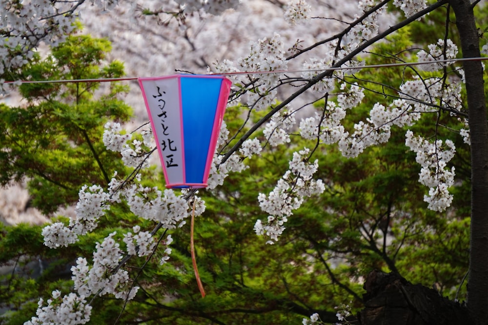 a blue and pink banner hanging from a tree