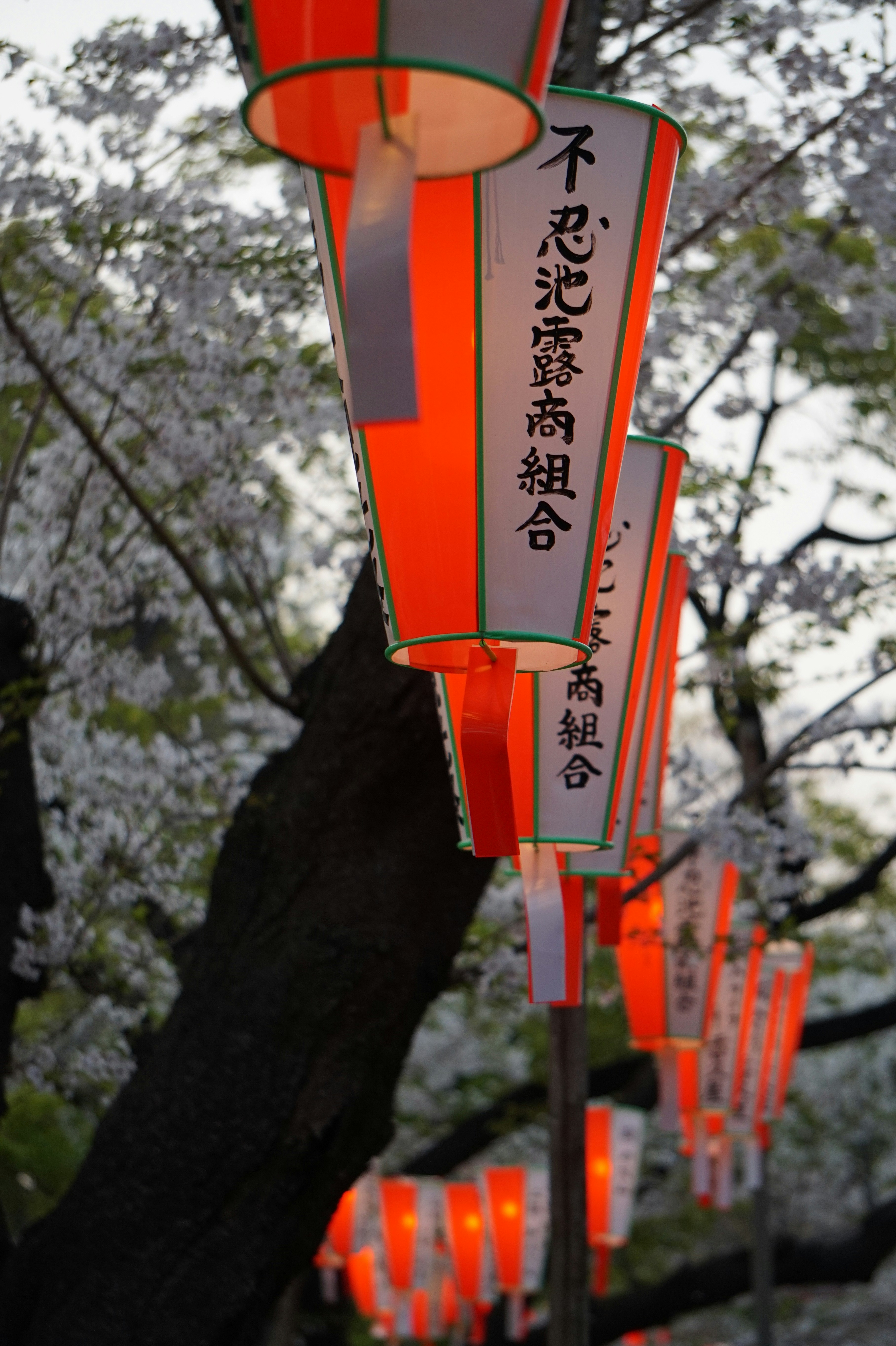 Photo by wasichvonhieraussehenkann