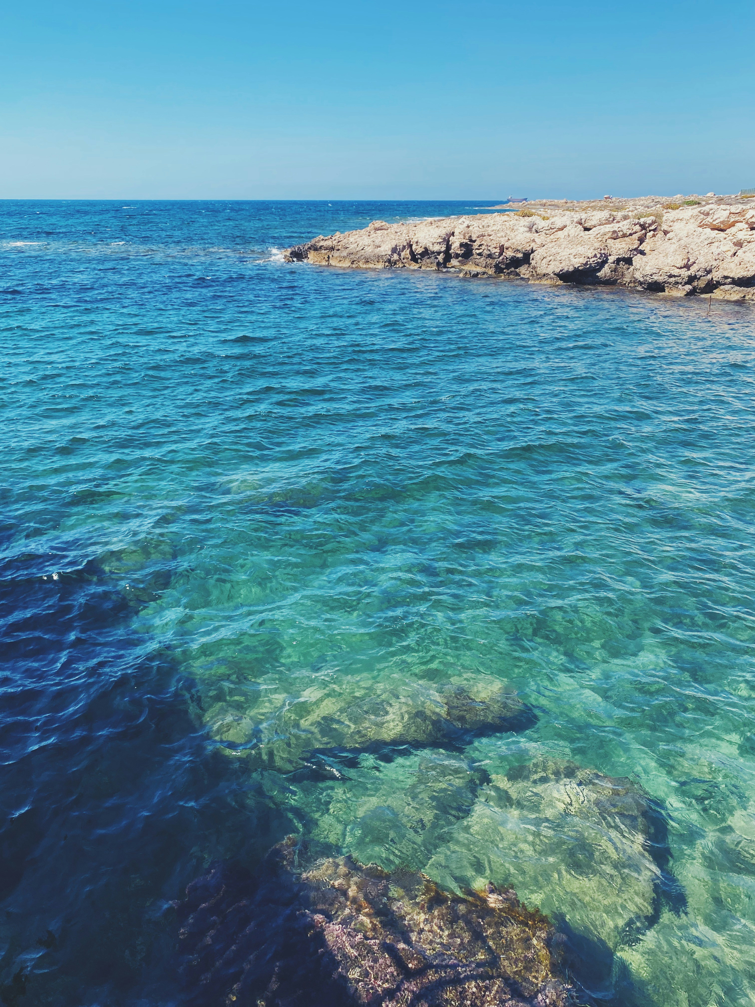 Photo by alinavalishina