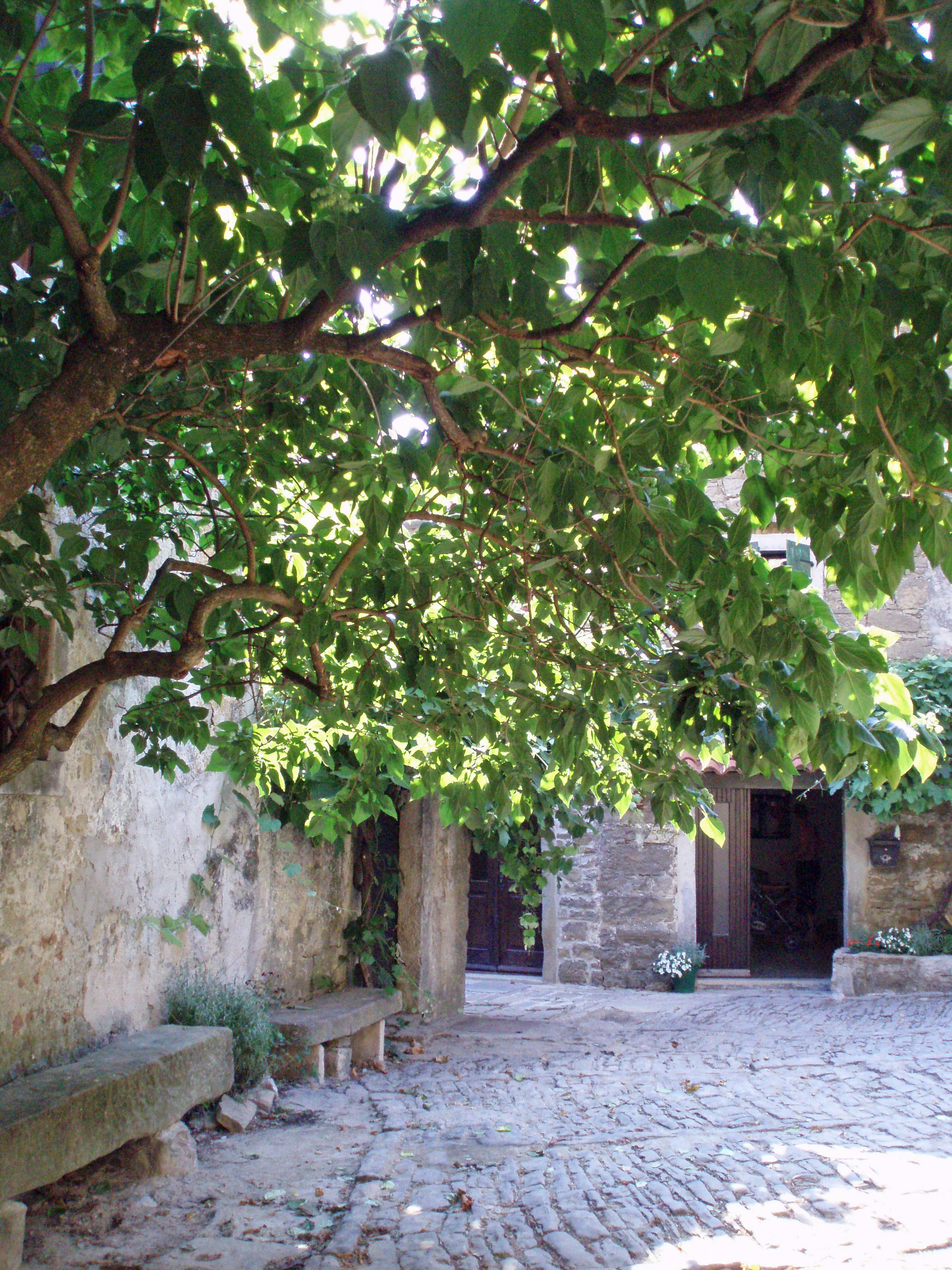 Photo by pocklington