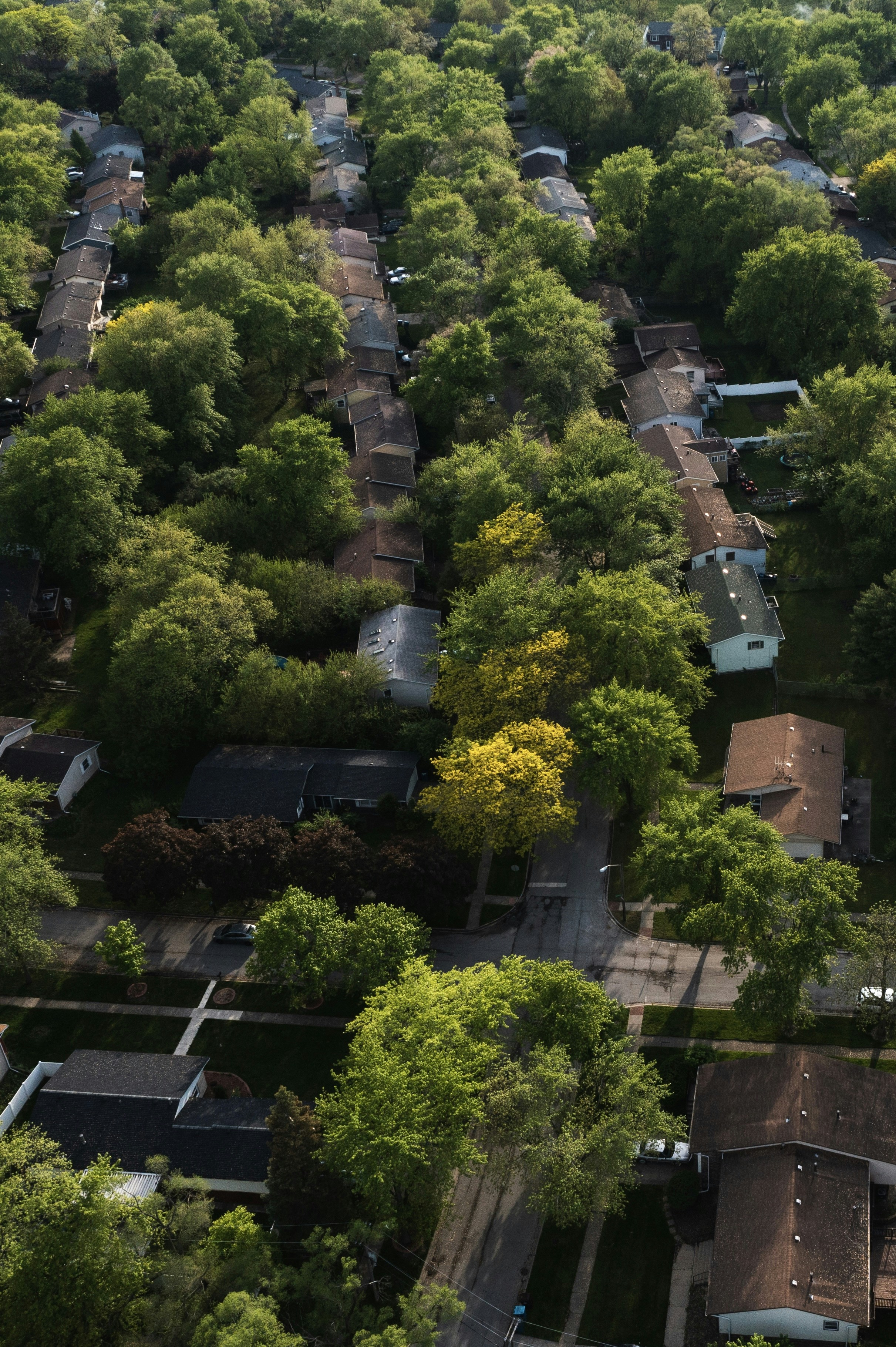 Photo by ________________1a