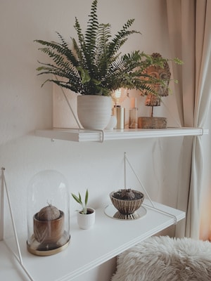 A white shelf displays various decorative items including a large potted fern, a sculptural piece resembling a tribal mask, and several small vases. Below it, another shelf holds a transparent glass dome covering a small plant, a tiny potted plant, and a bowl-shaped planter. A fluffy white rug or cushion is situated nearby, and the entire setup is against a white wall with gentle curtains to the side.