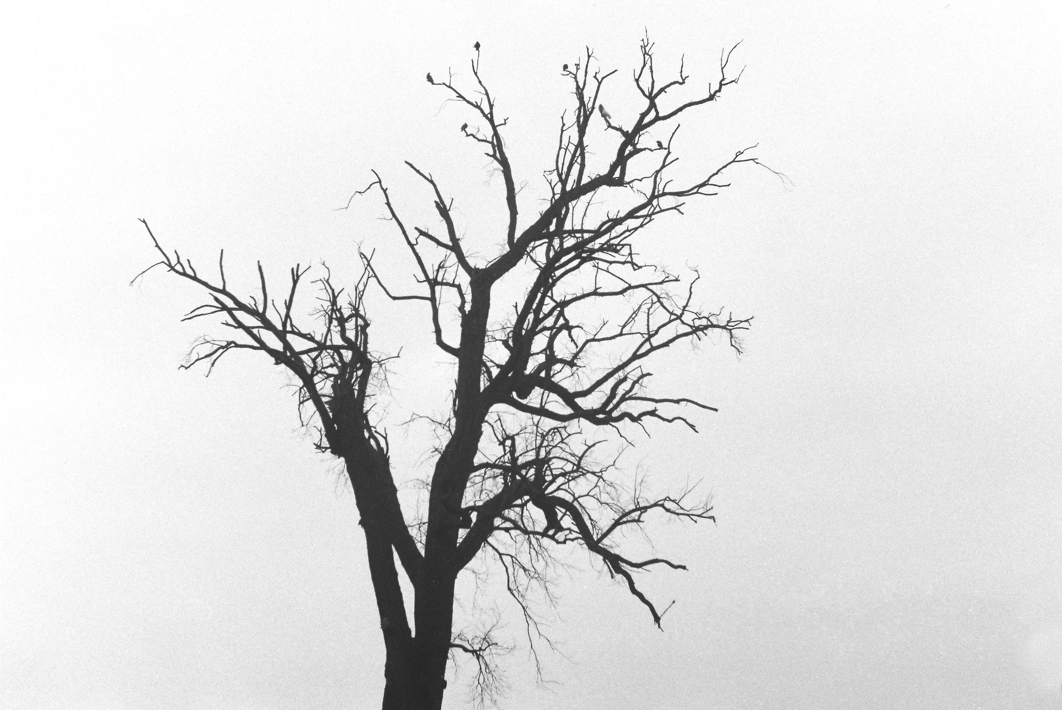 Photo by andreioctavian