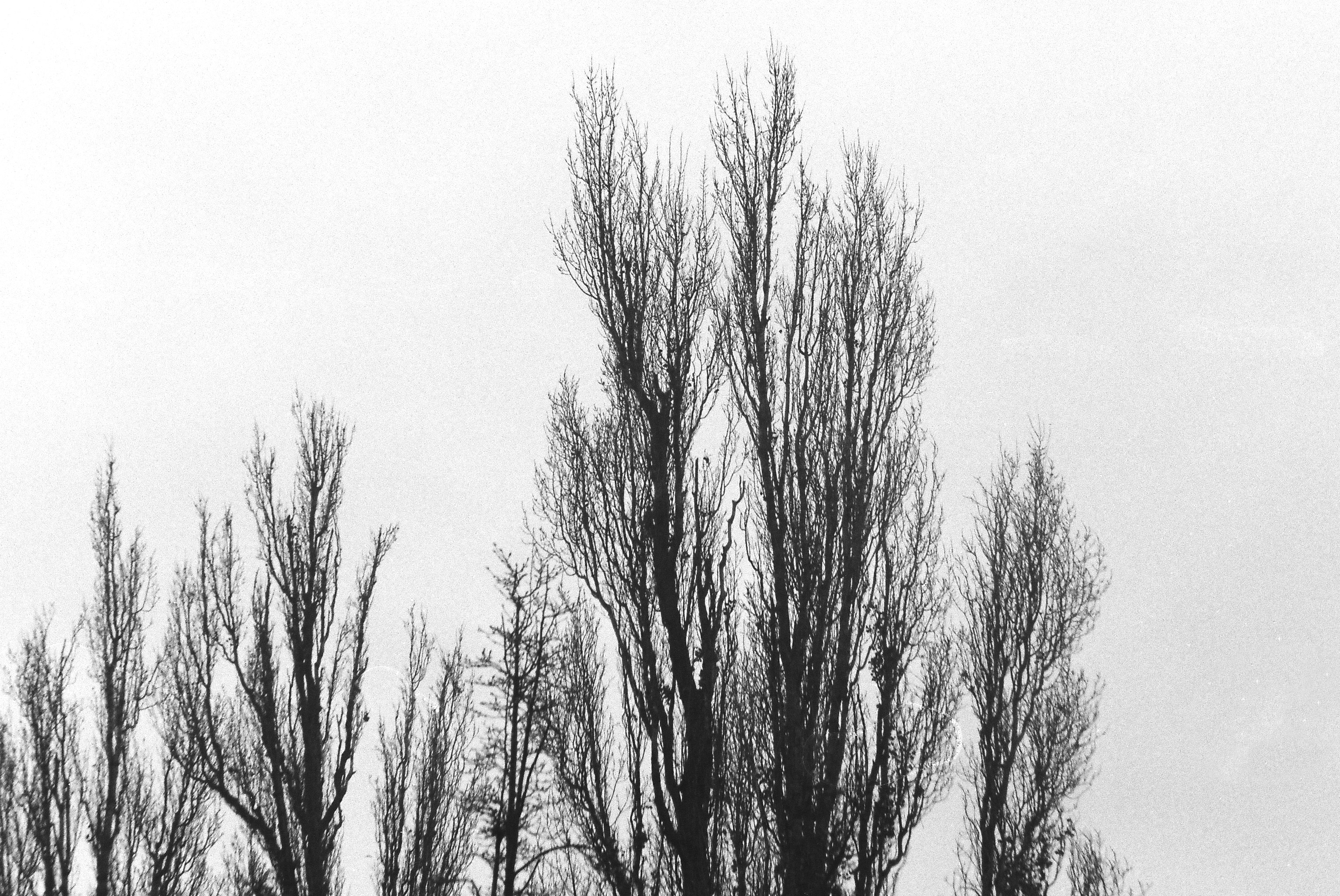 Photo by andreioctavian