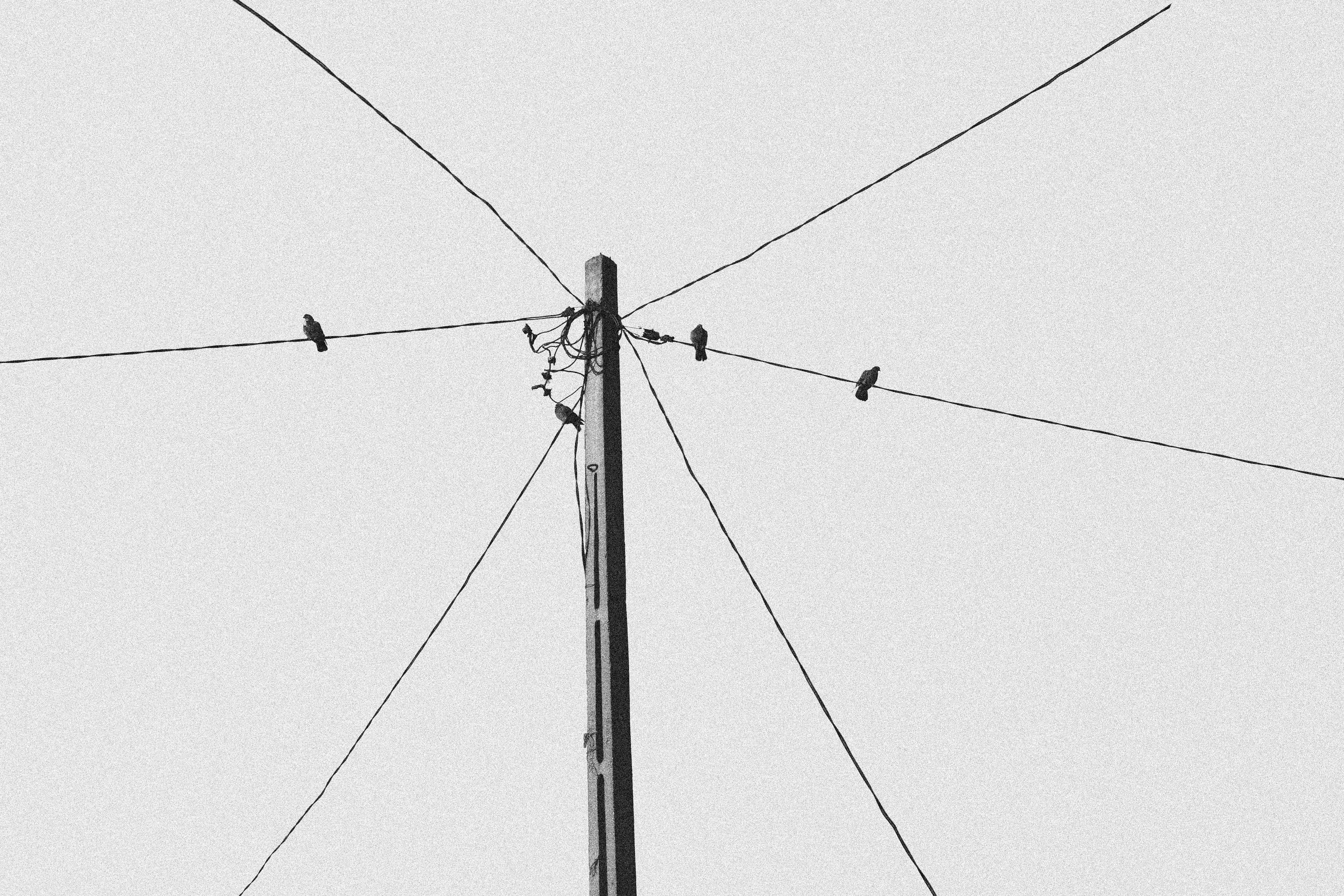 Photo by andreioctavian