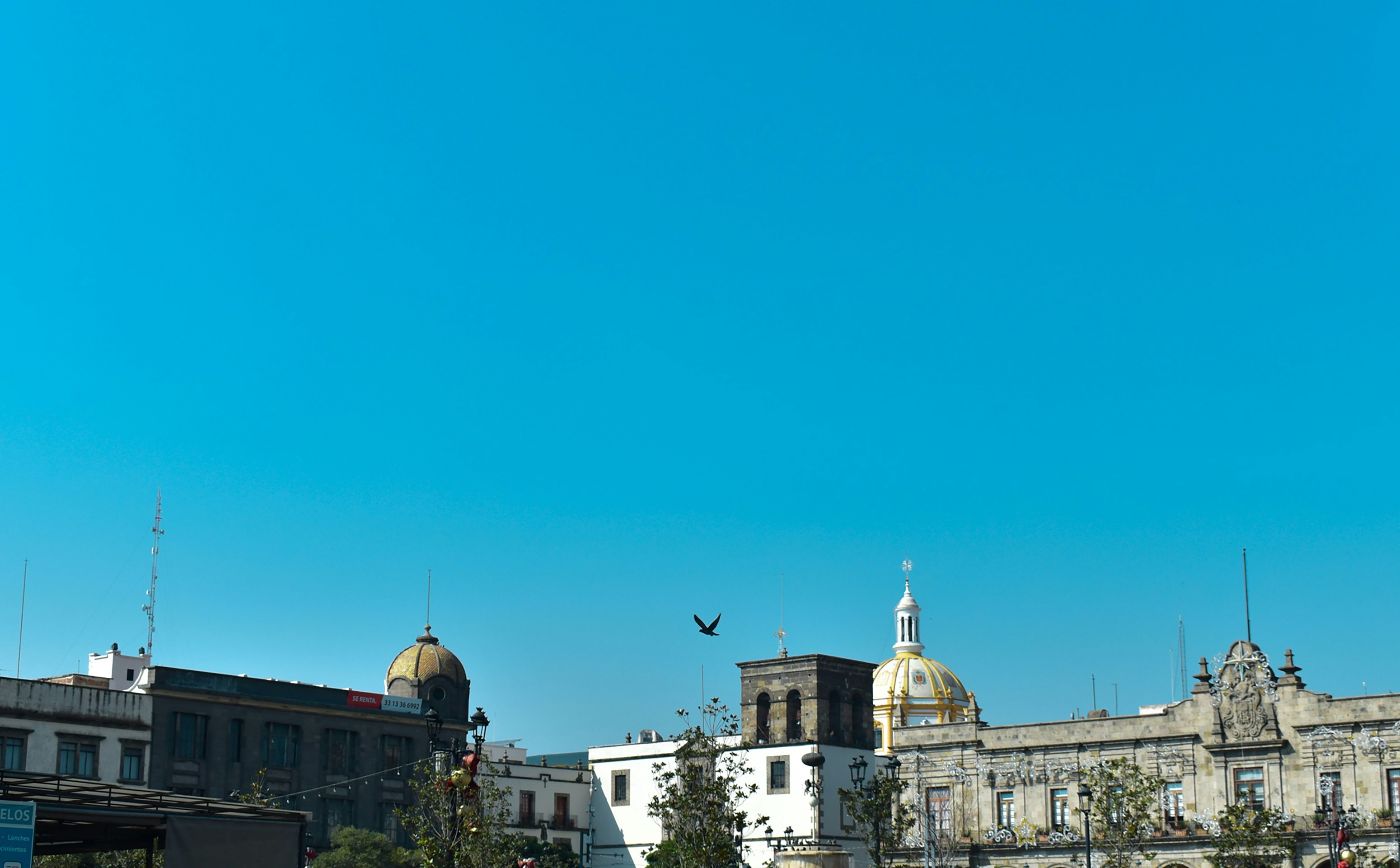 Parque de Orcadas