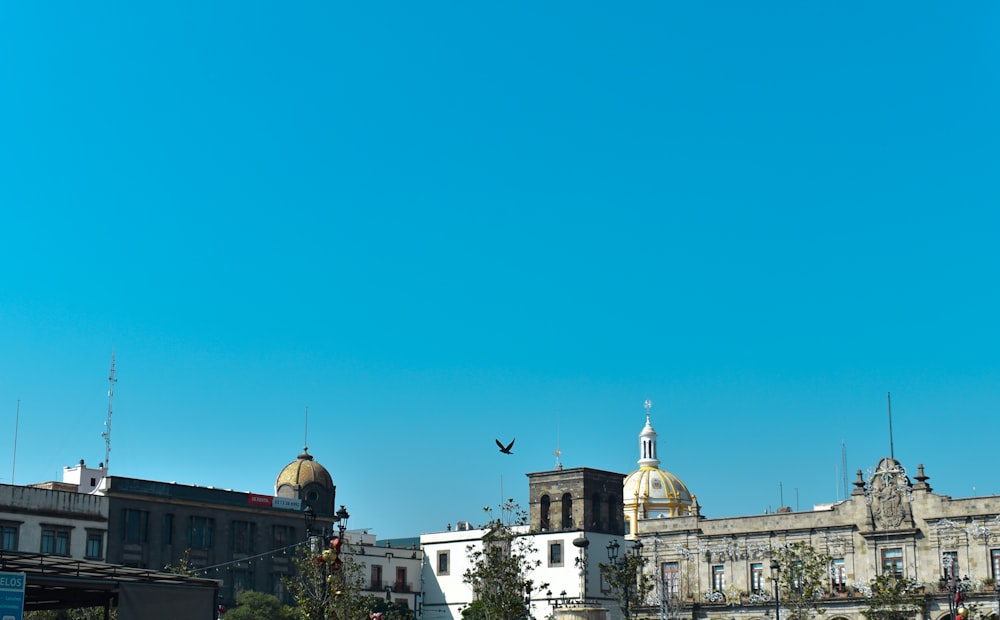 a large building with a dome and a bird flying over it