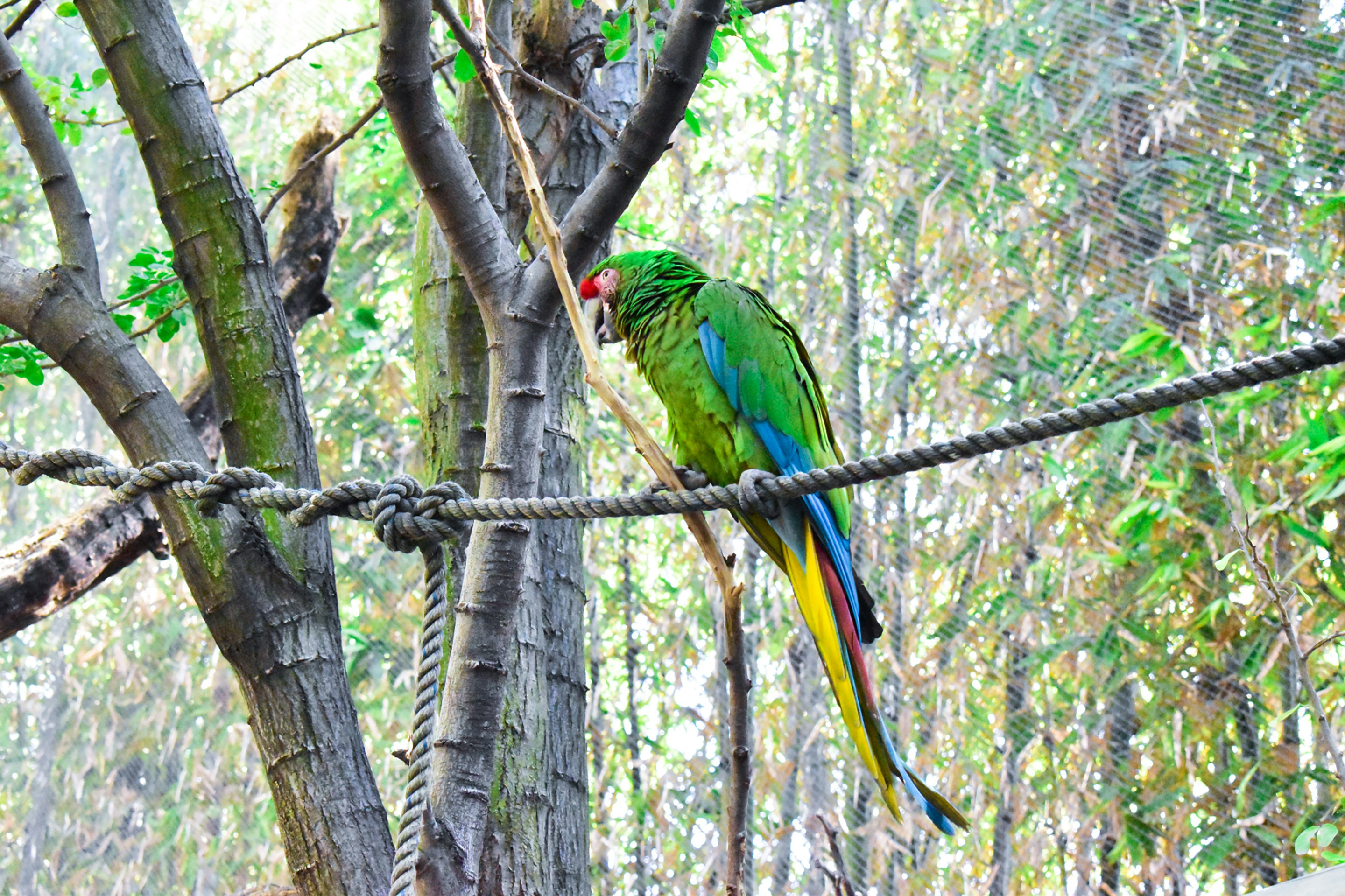 Photo by gabrielavillarreal_