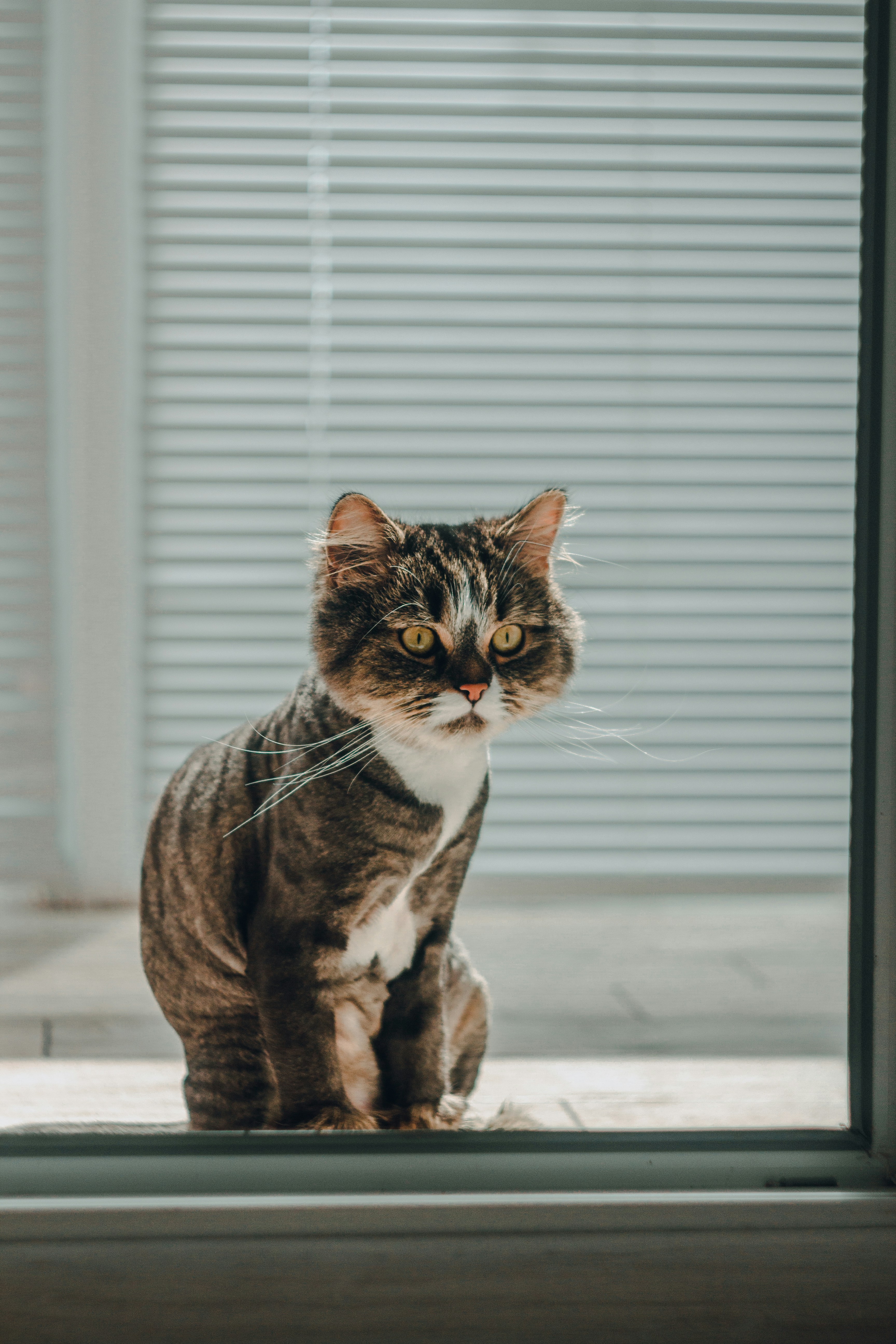 Photo by samoyedness