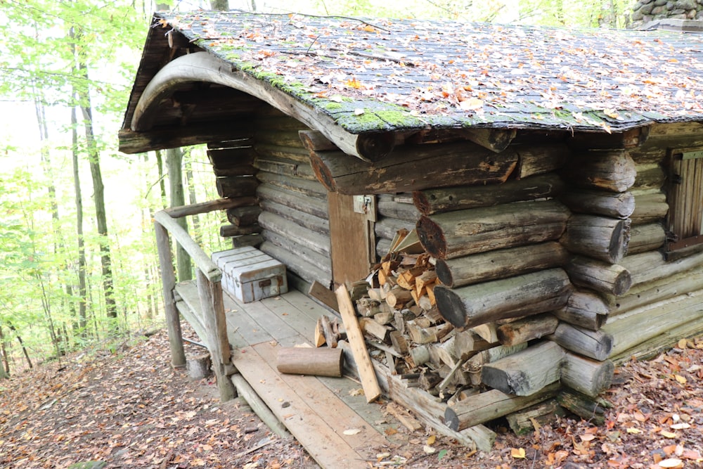 a log cabin in the woods with a pile of wood