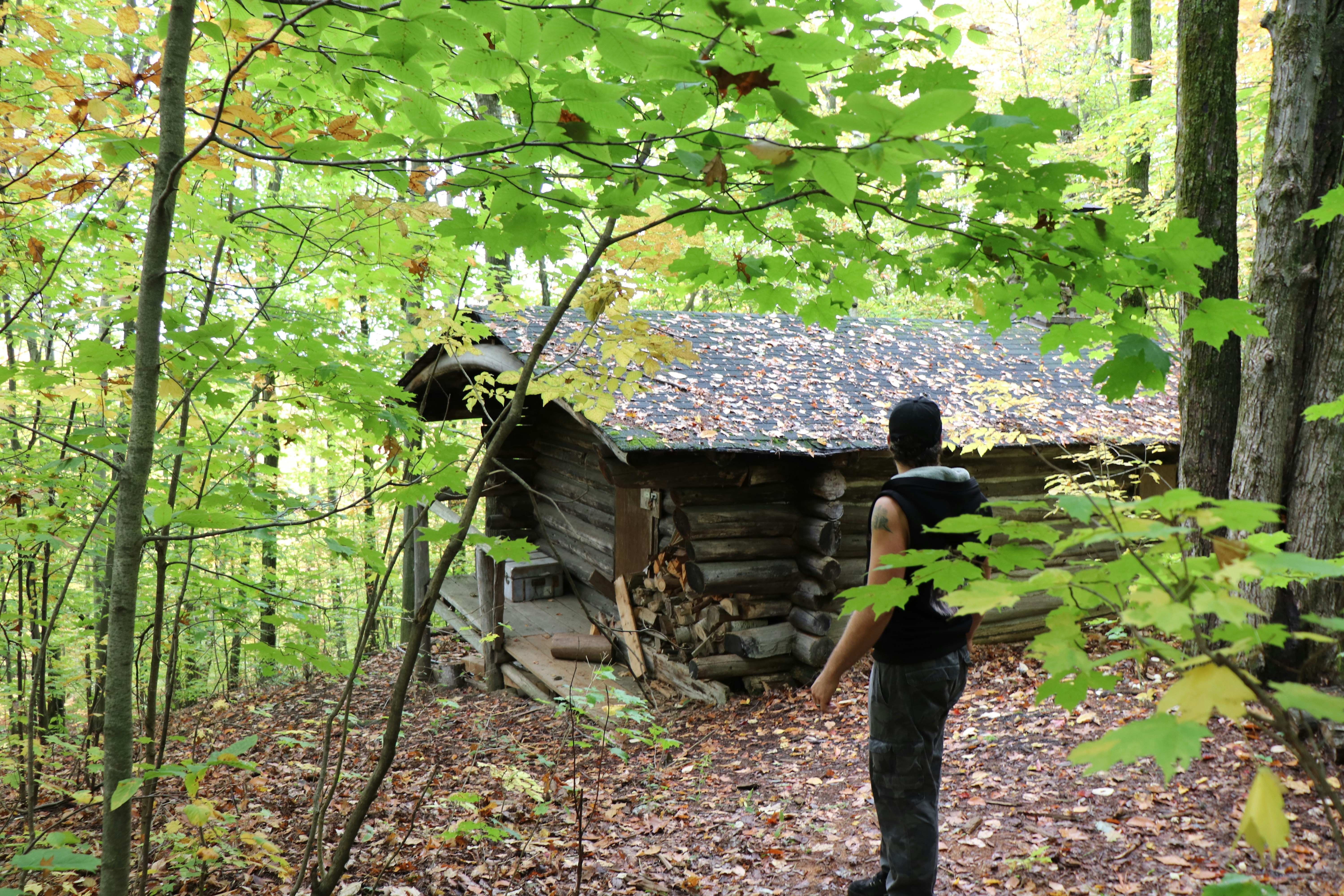 How a Key Gene May Help MS Patients Manage Symptoms