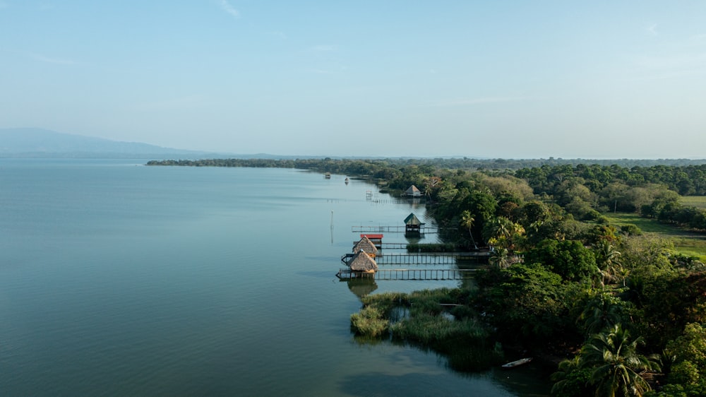 a body of water surrounded by lush green trees