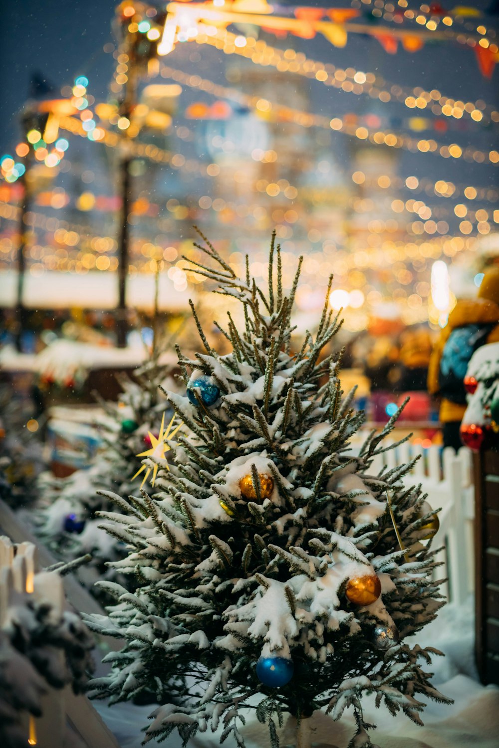 a small christmas tree is in the snow