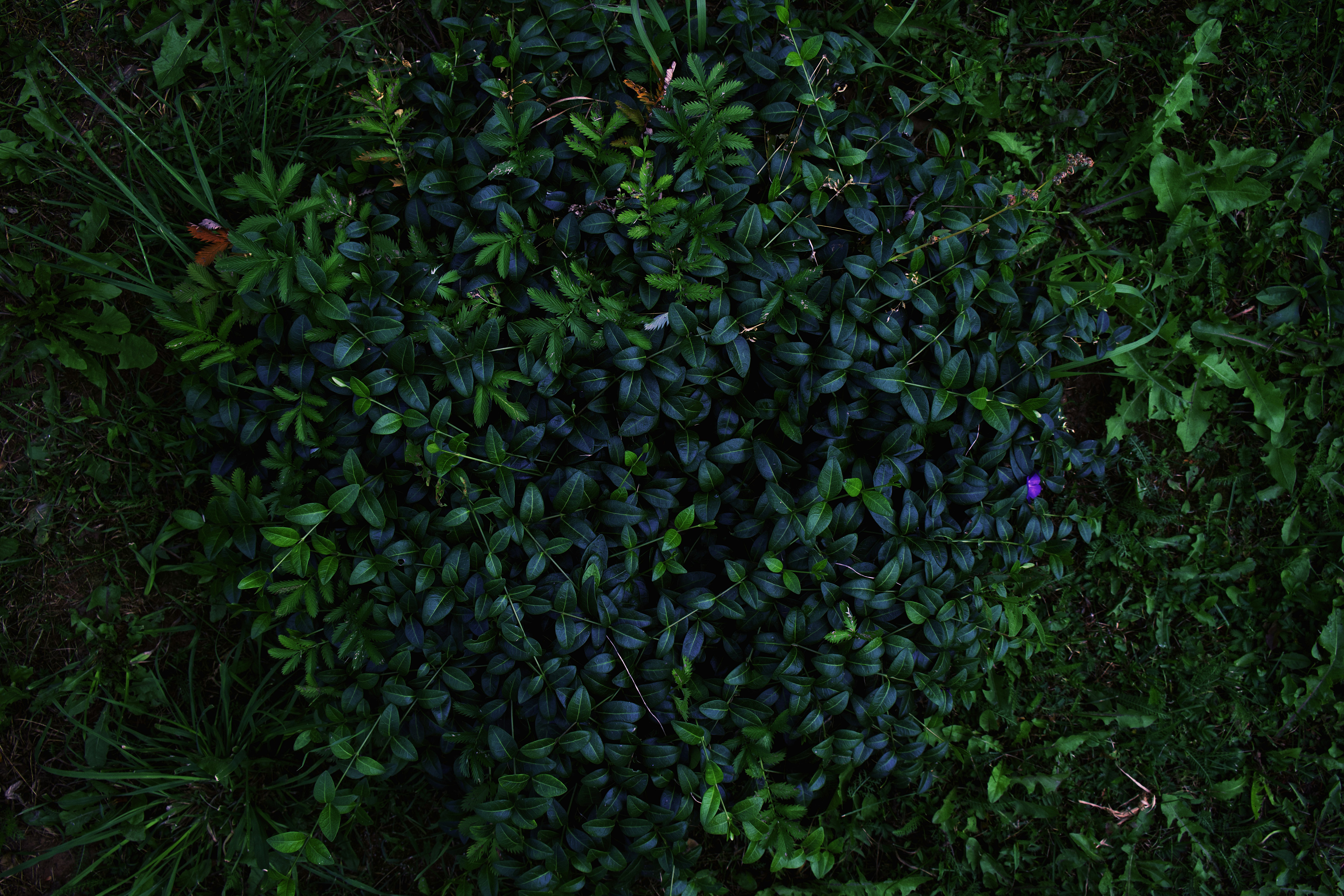 Photo by kazusaki_sagar