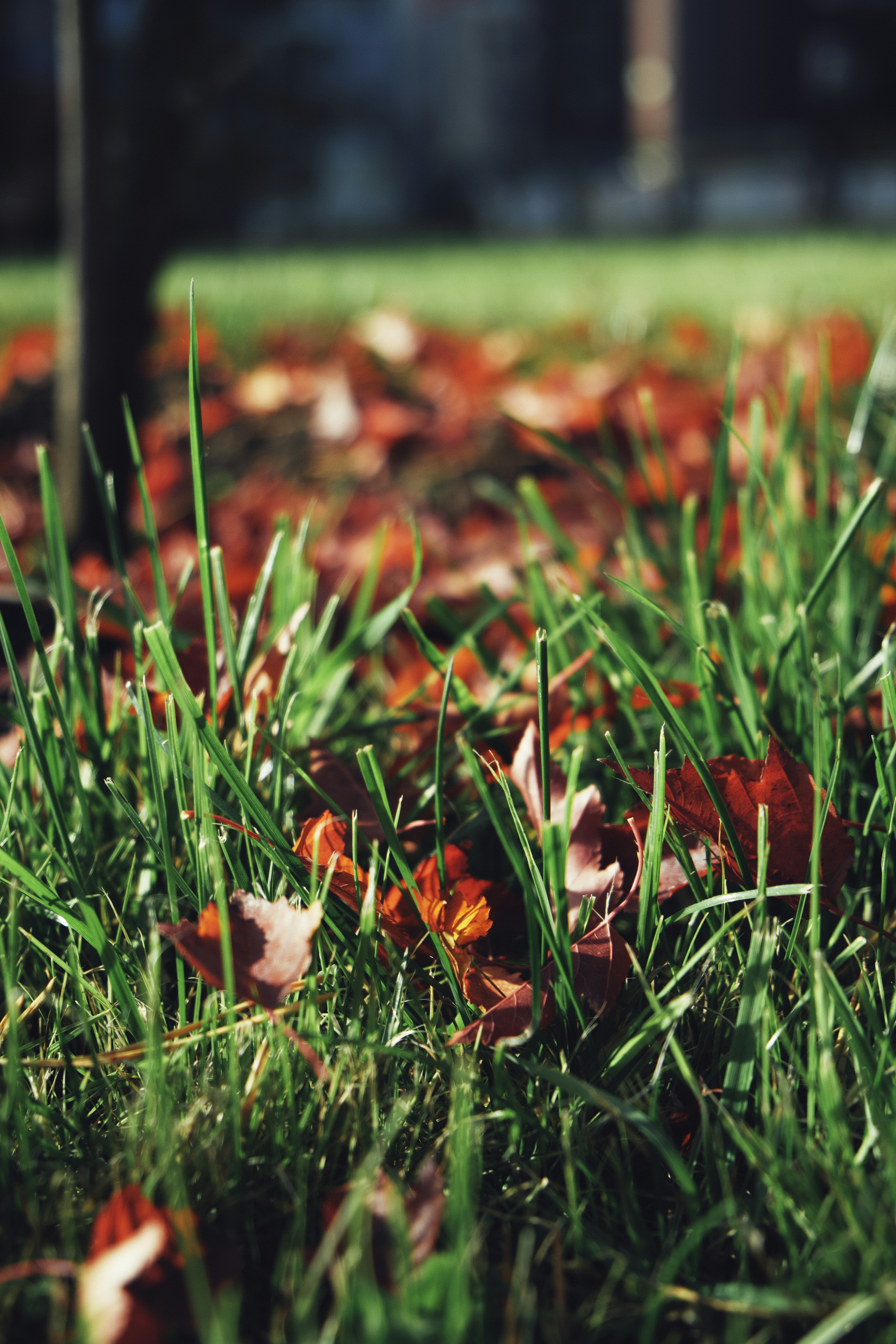 Photo by kazusaki_sagar