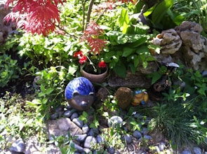 A vibrant garden scene features a mix of lush green foliage and bright red flowers. Among the plants are decorative garden ornaments, including a blue hedgehog figurine and a whimsical frog figure. The setting includes natural rocks and pebbles, adding texture to the scene.