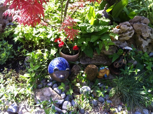 A vibrant garden scene features a mix of lush green foliage and bright red flowers. Among the plants are decorative garden ornaments, including a blue hedgehog figurine and a whimsical frog figure. The setting includes natural rocks and pebbles, adding texture to the scene.