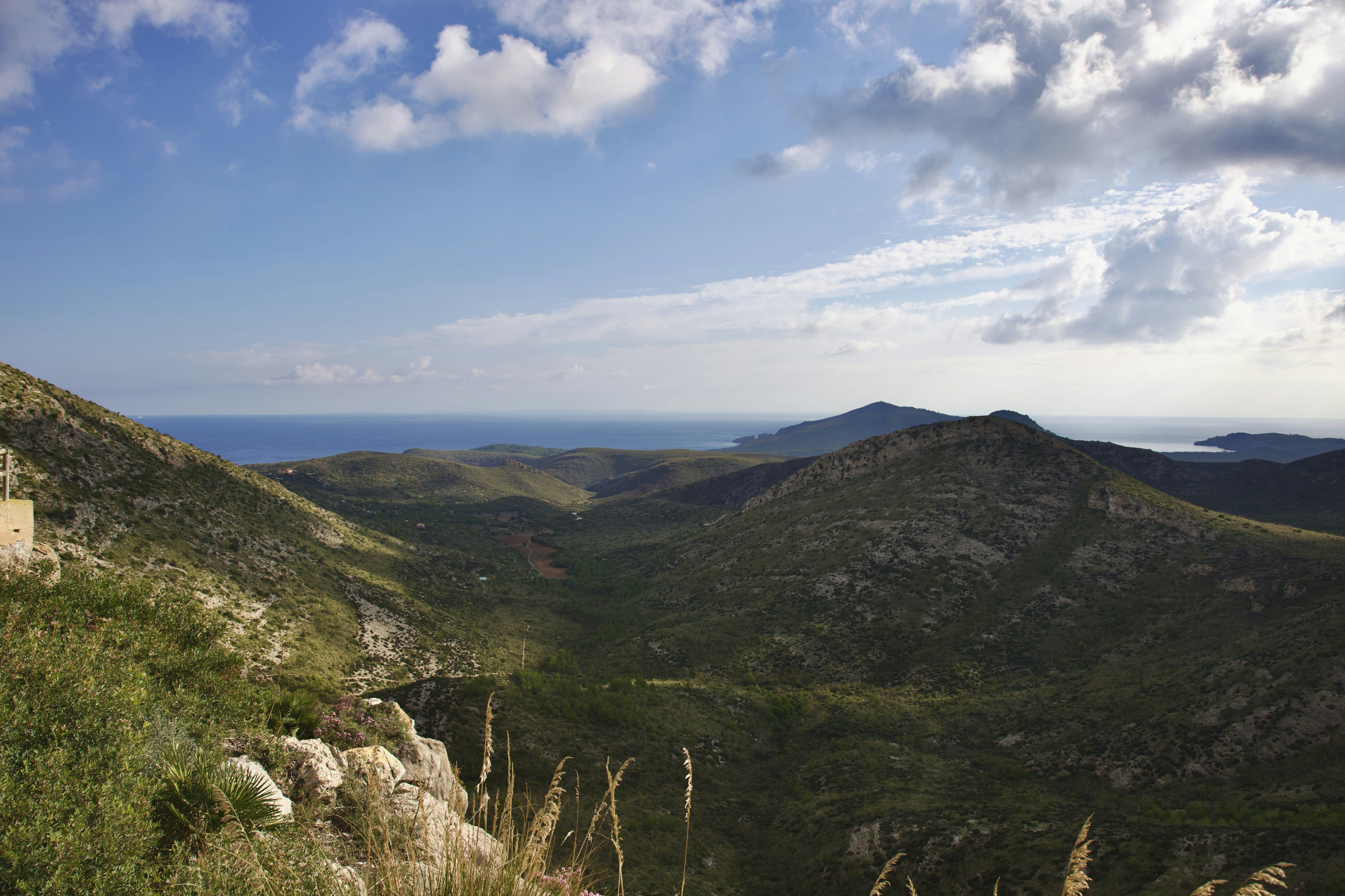 Photo by stockbirken