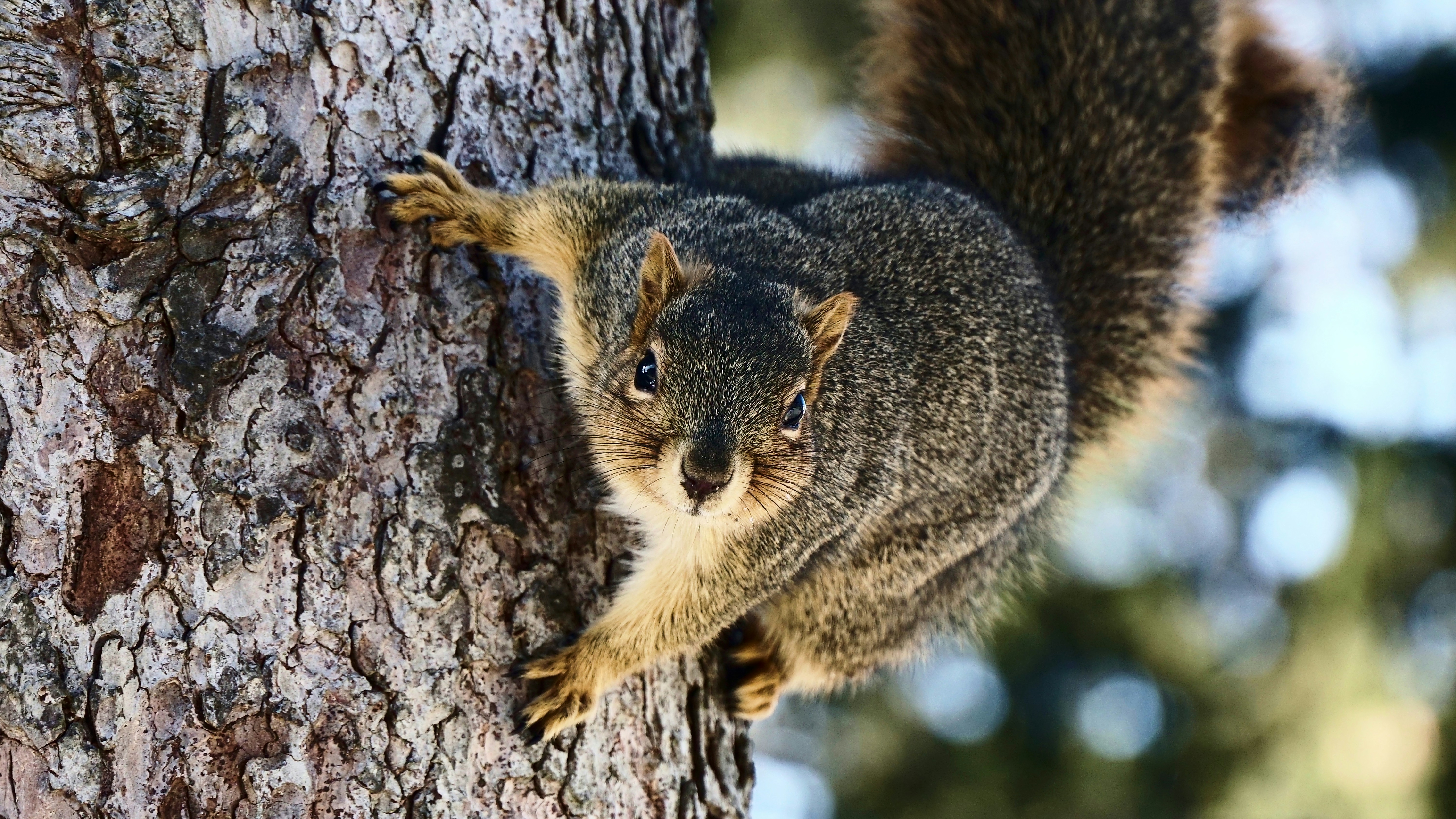 Photo by mrgreatheart