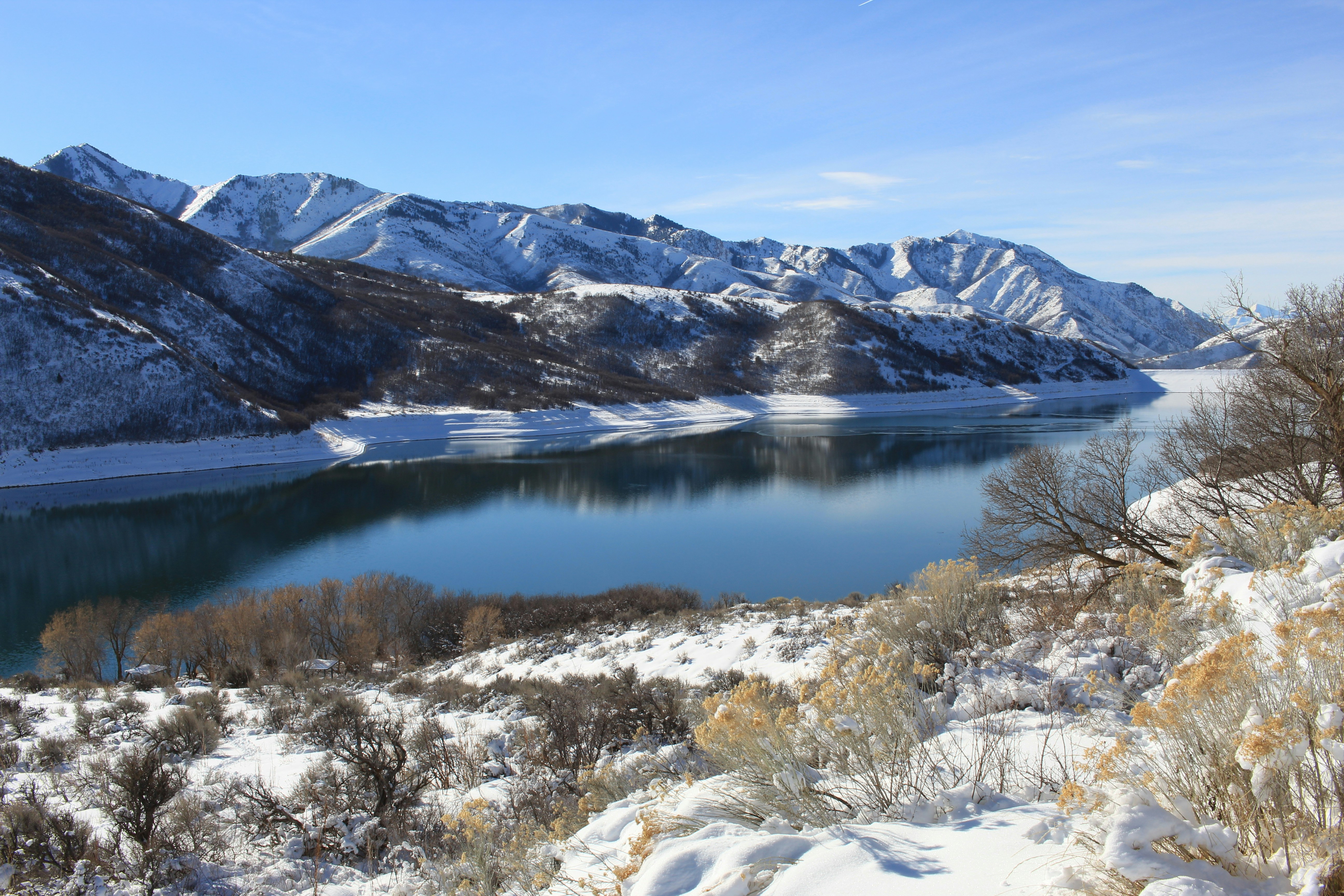 Photo by djburkephotography