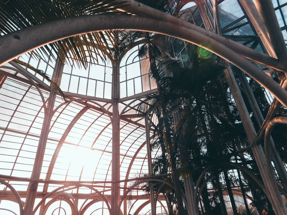 the inside of a building with a palm tree