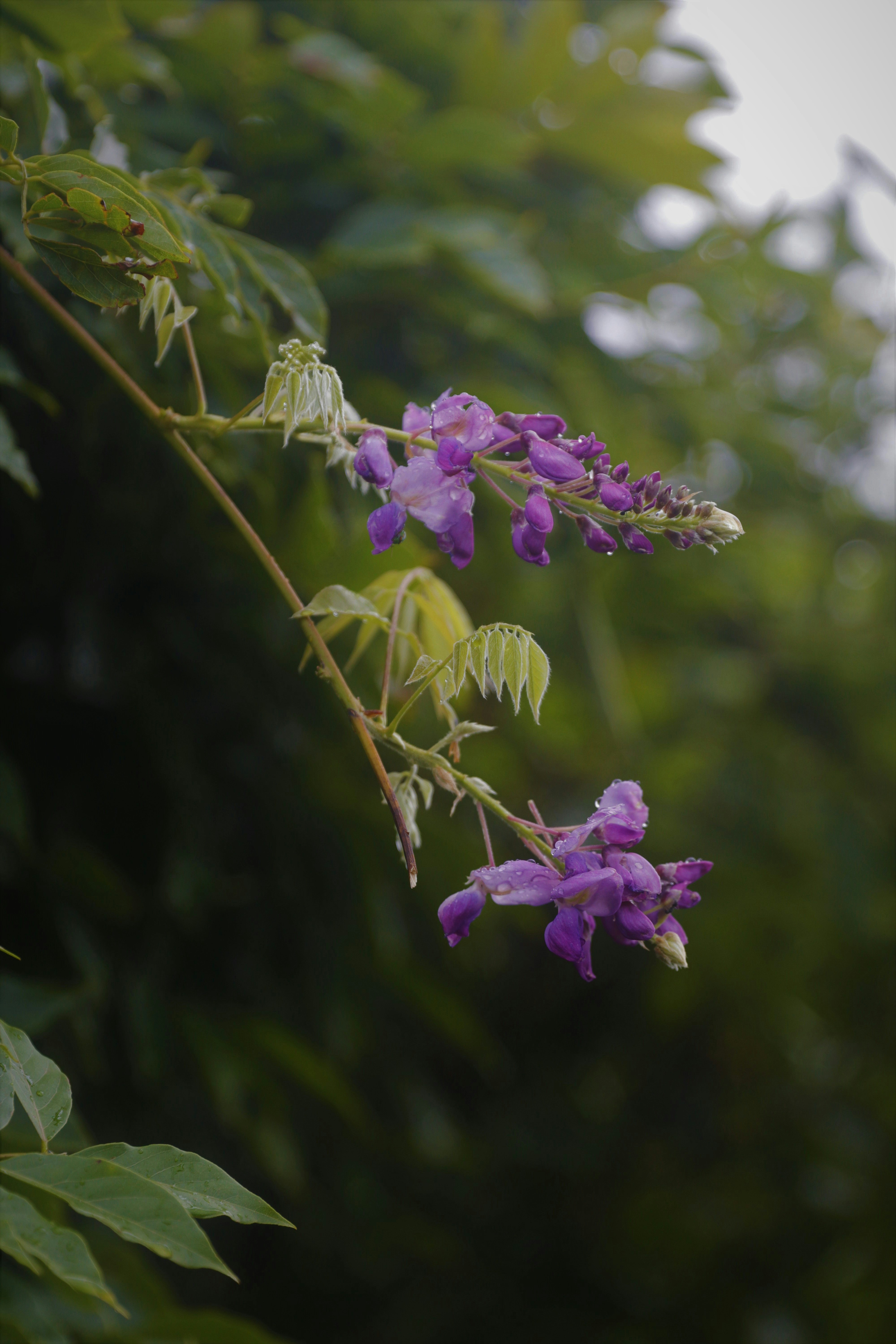Photo by luizabraun