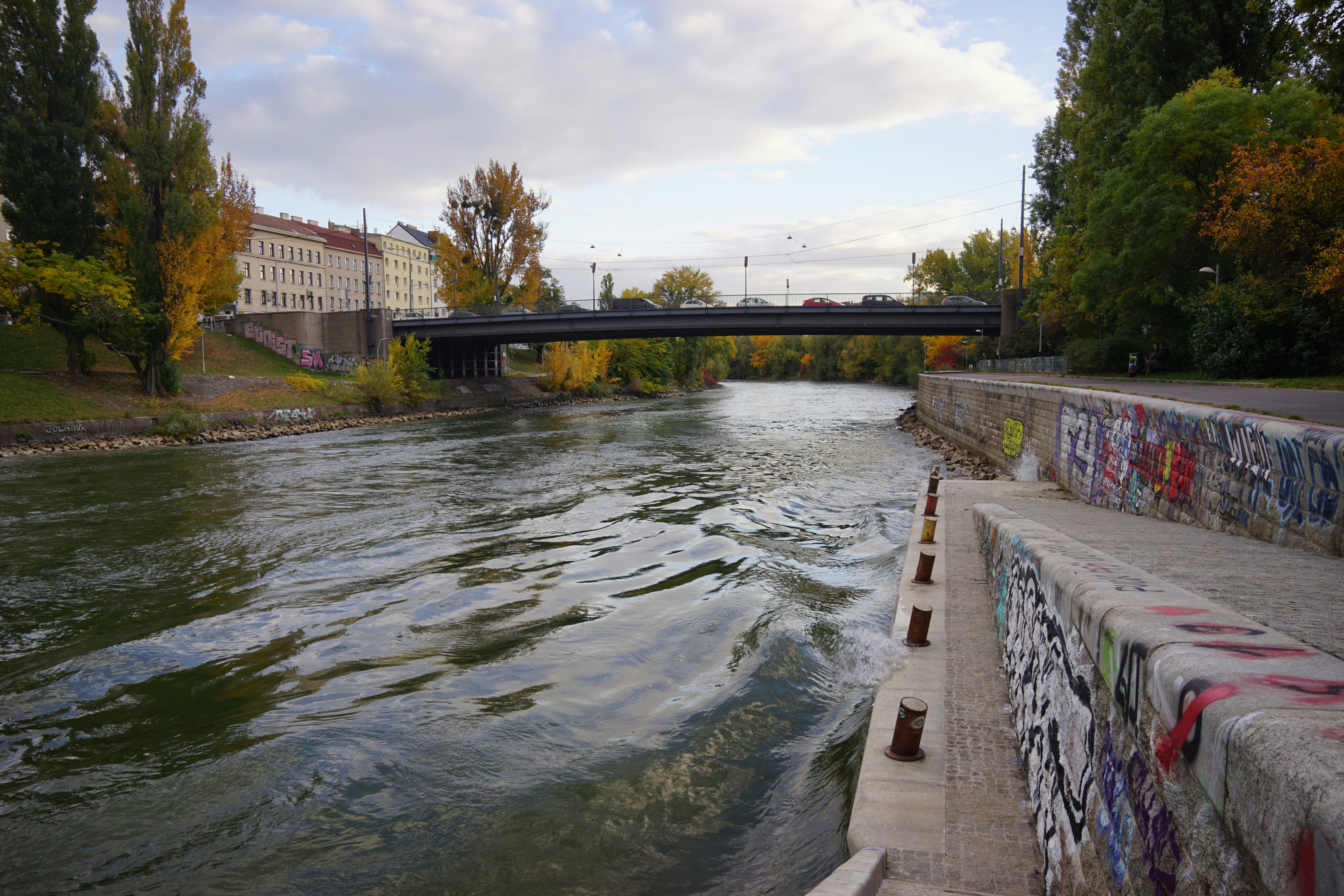Vienna food: Boat Rides: Paddle Your Way Around